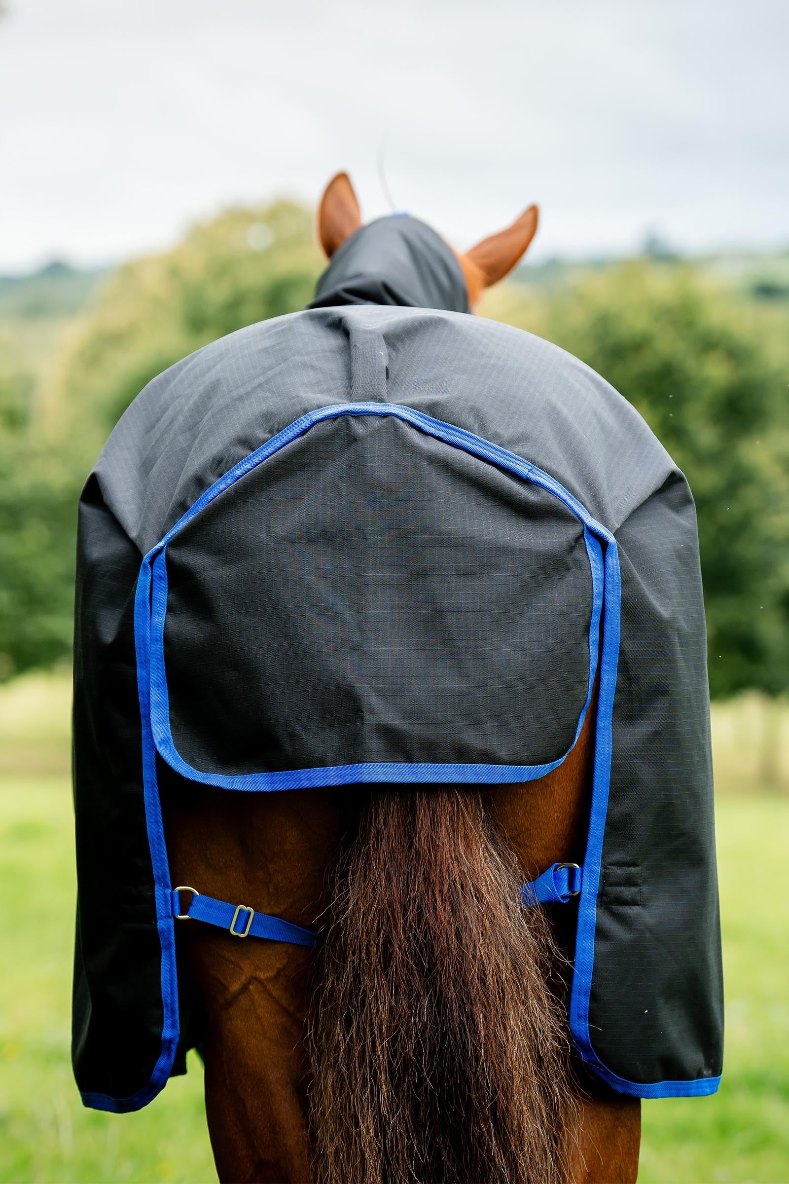 Horseware Amigo Ripstop 900D Plus Turnout Rug, 100 g Horse Rugs