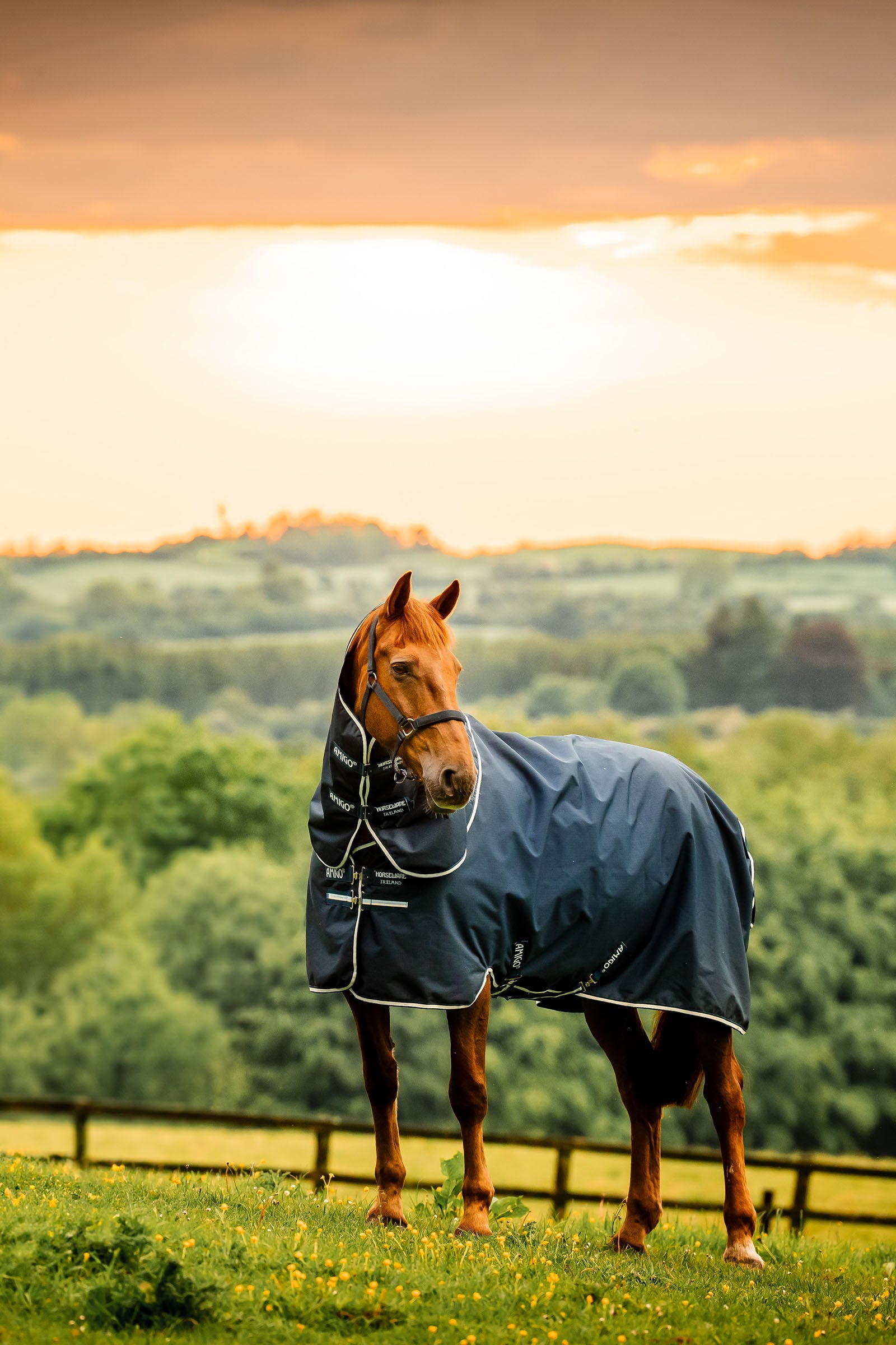 Horseware Amigo Ripstop 900D Plus coperta da turnout con collo staccabile, 100 g Coperte per cavalli