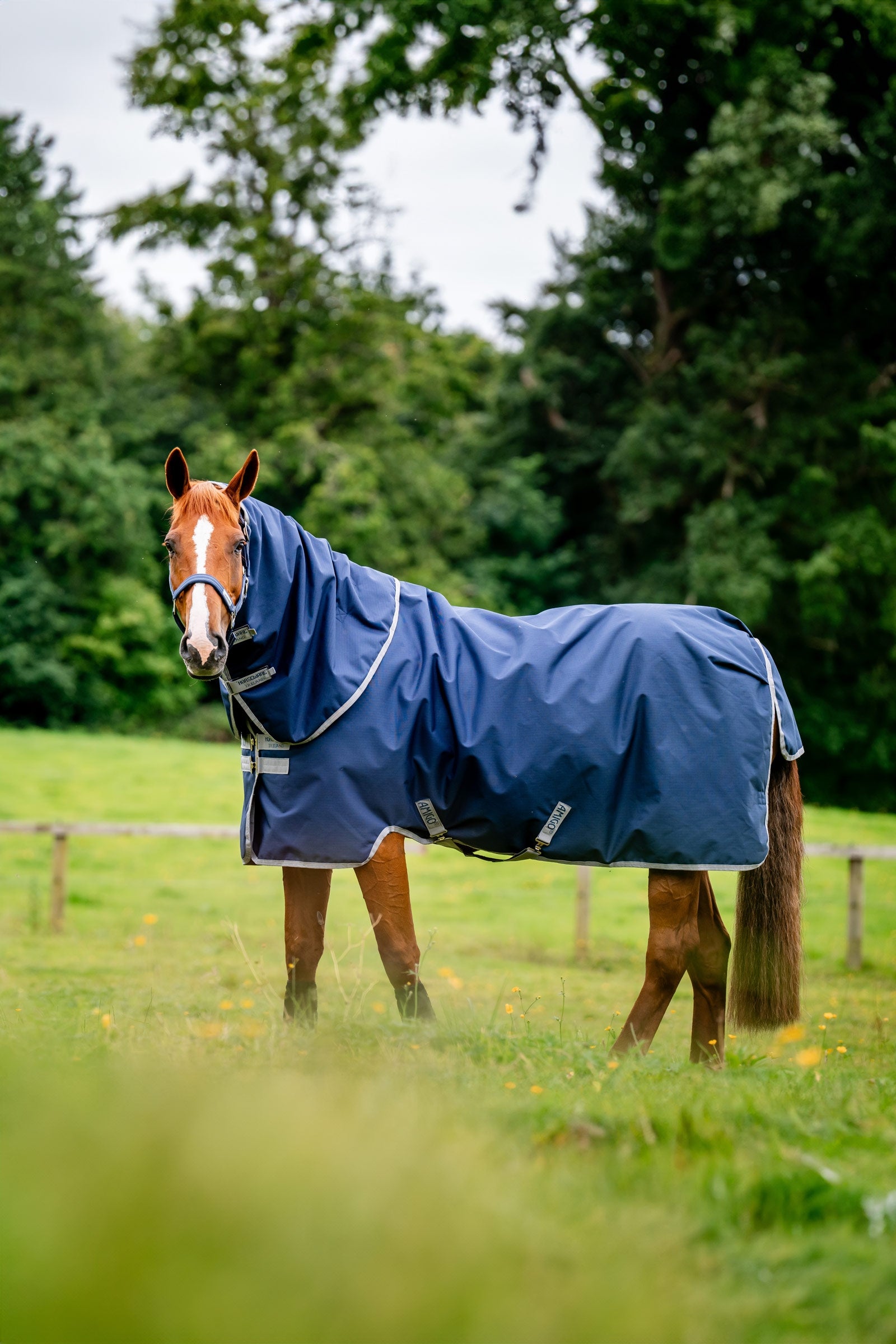 Horseware Amigo Ripstop 900D Plus coperta da turnout con collo staccabile, 100 g Coperte per cavalli