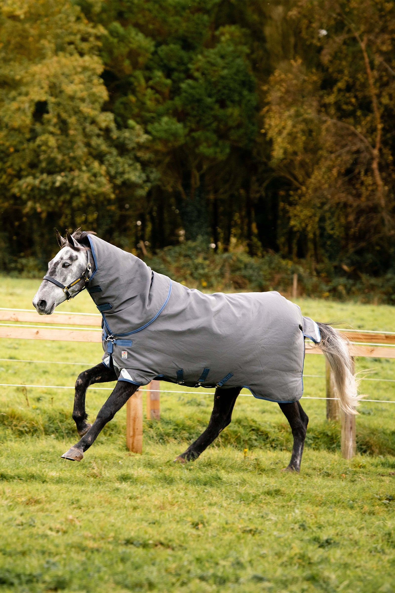 Horseware Rhino Plus HexSTOP Vari-Layer Coperta da Pascolo, 100g Coperte per cavalli