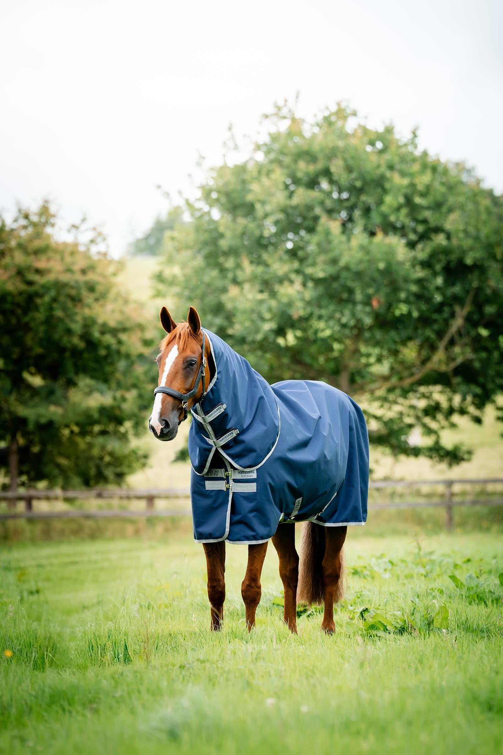 Horseware Amigo Ripstop 900D Plus Turnout Rug With Detachable Neck, 0 g Horse Rugs