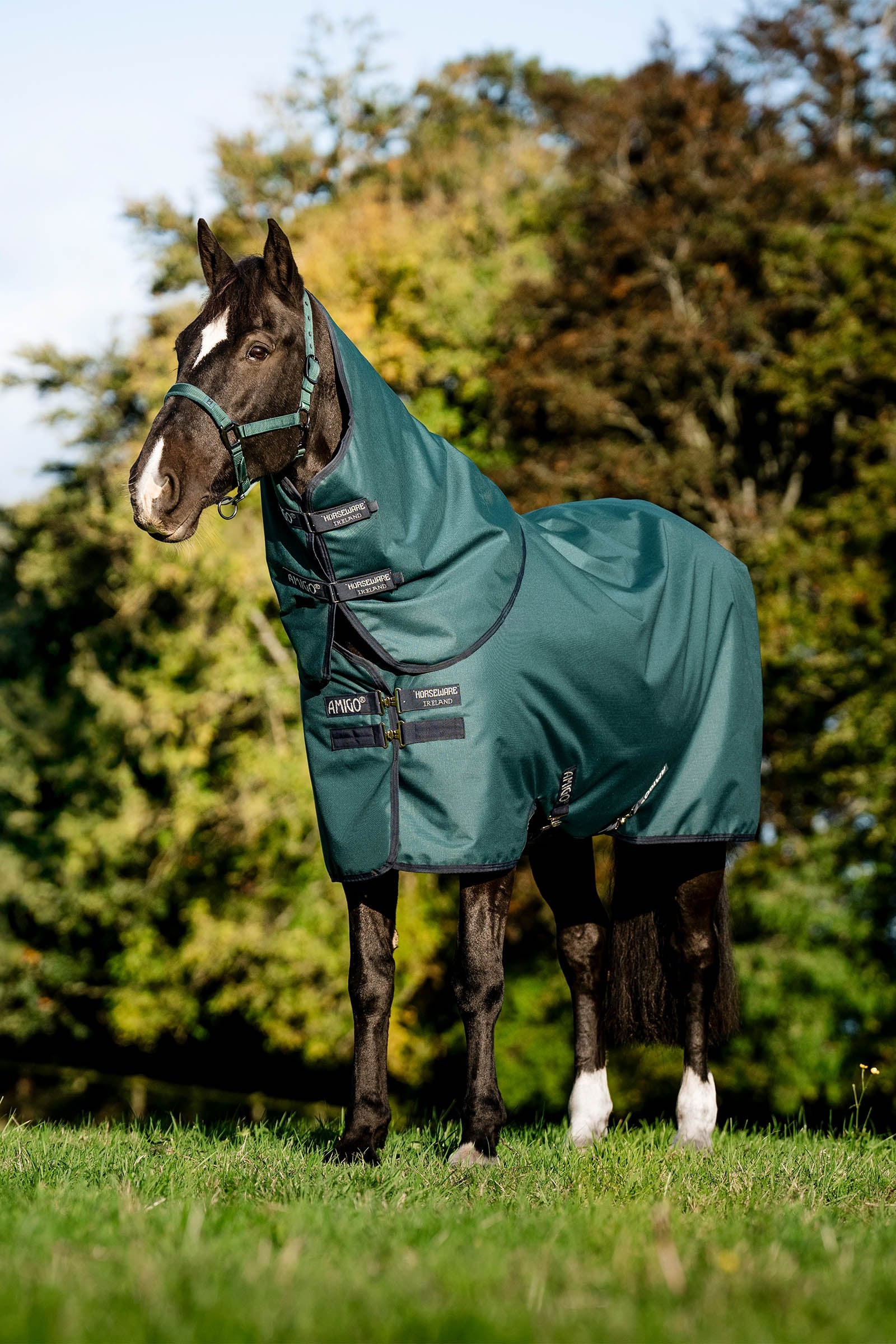 Horseware Amigo Ripstop 900D Plus Turnout Rug With Detachable Neck, 0 g Coperte per cavalli