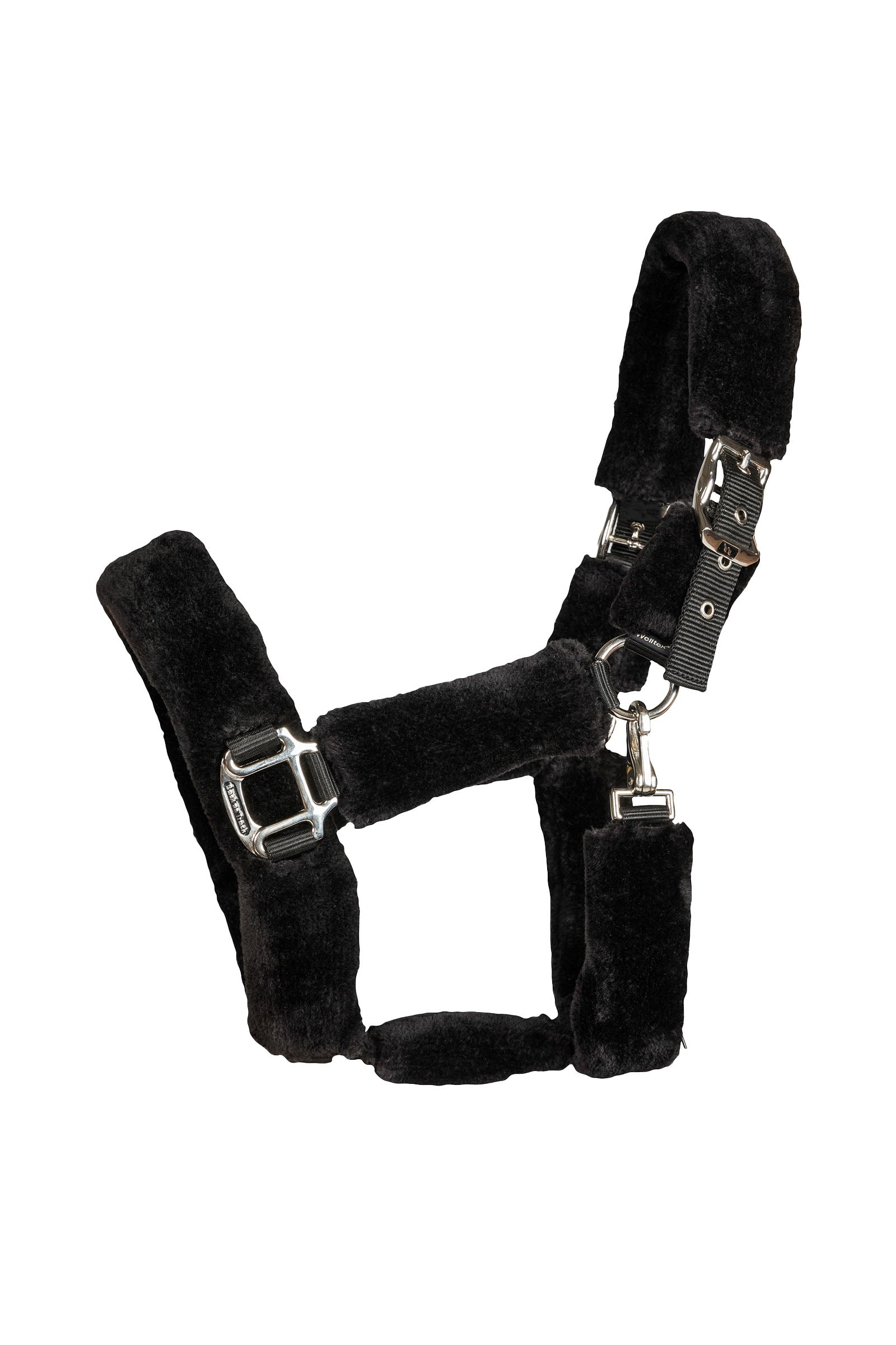 Back on Track Audrey cavezza Cavezze e guinsagli