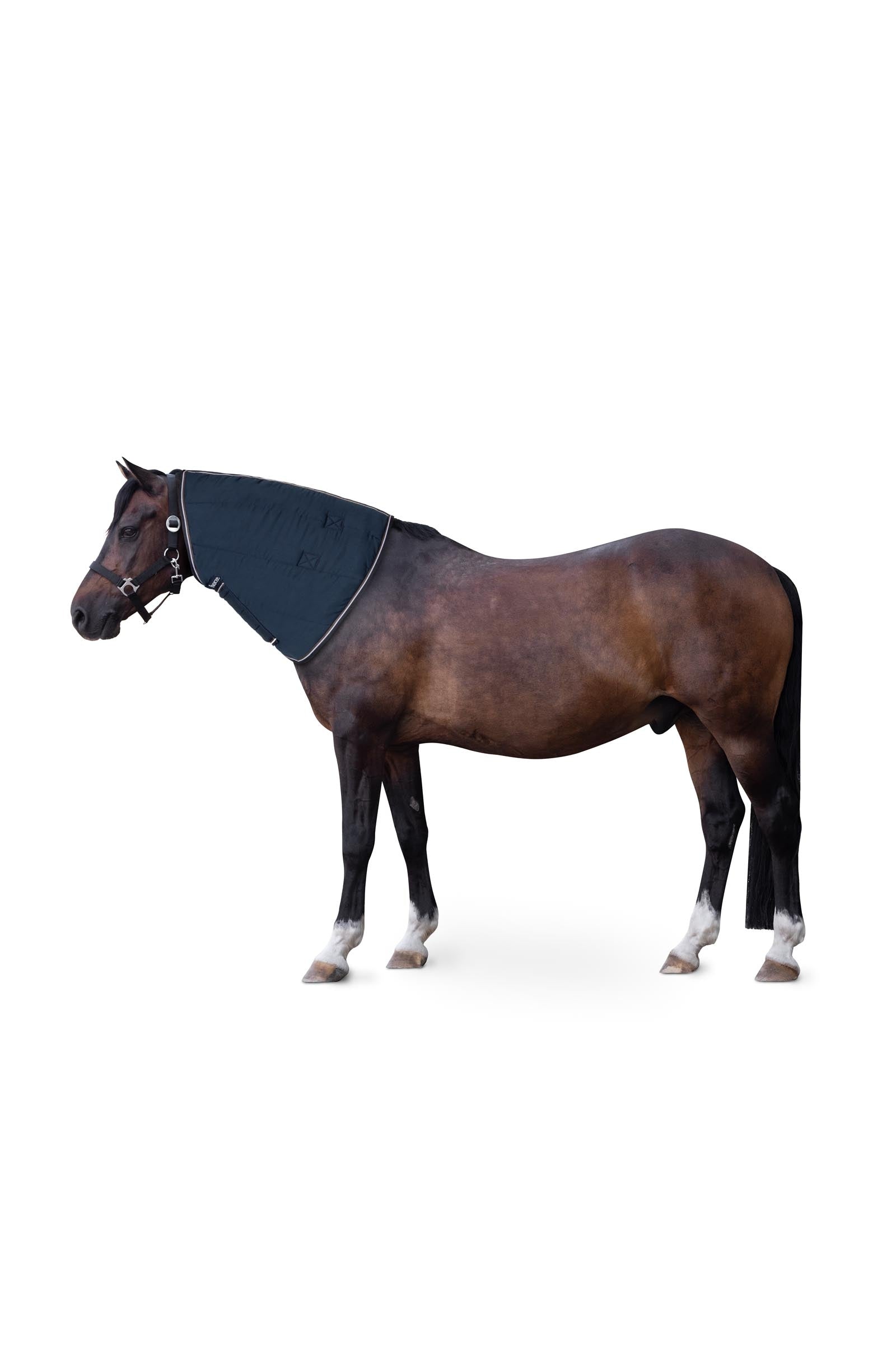 Horze Cappuccio per coperta da box per pony Glasgow Coperte per cavalli