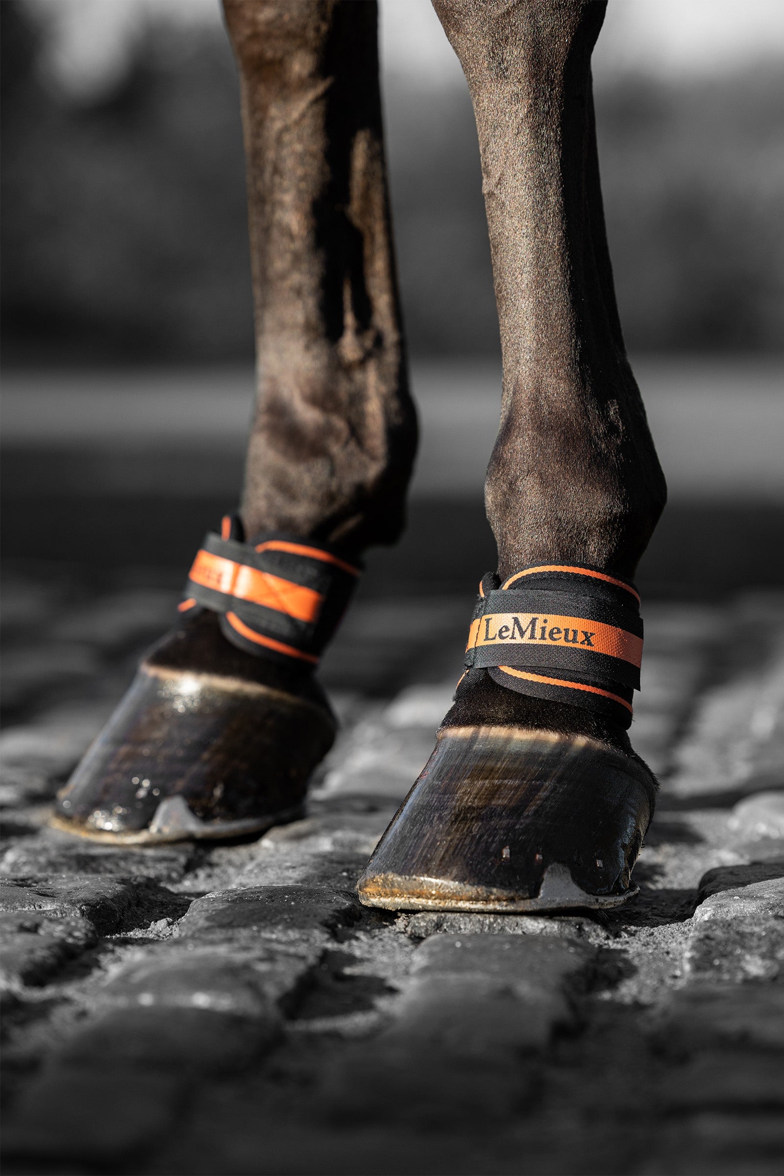 LeMieux Magno Fascia per pastorale