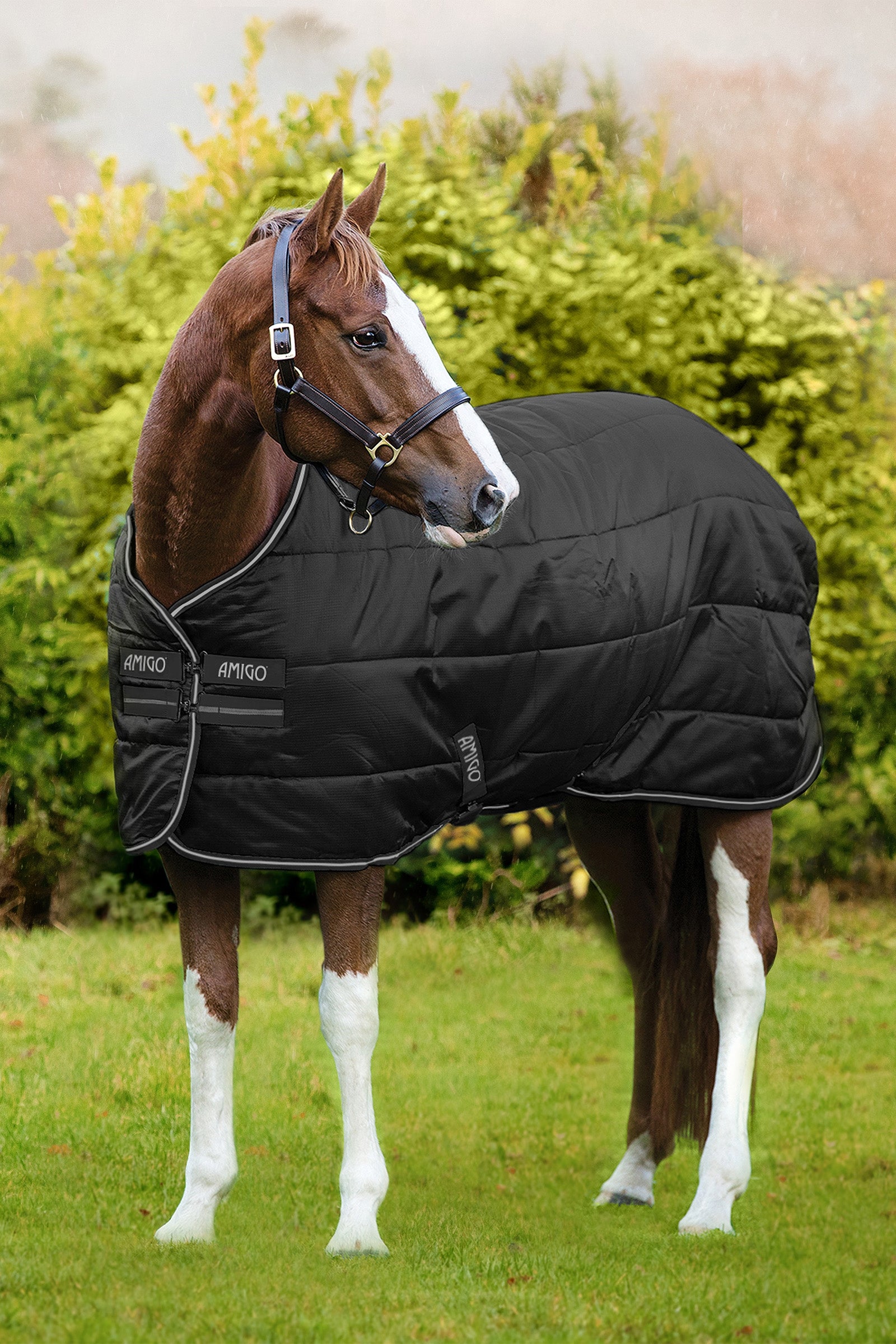 Horseware Amigo Isolante Diamond, 100 g Coperte per cavalli
