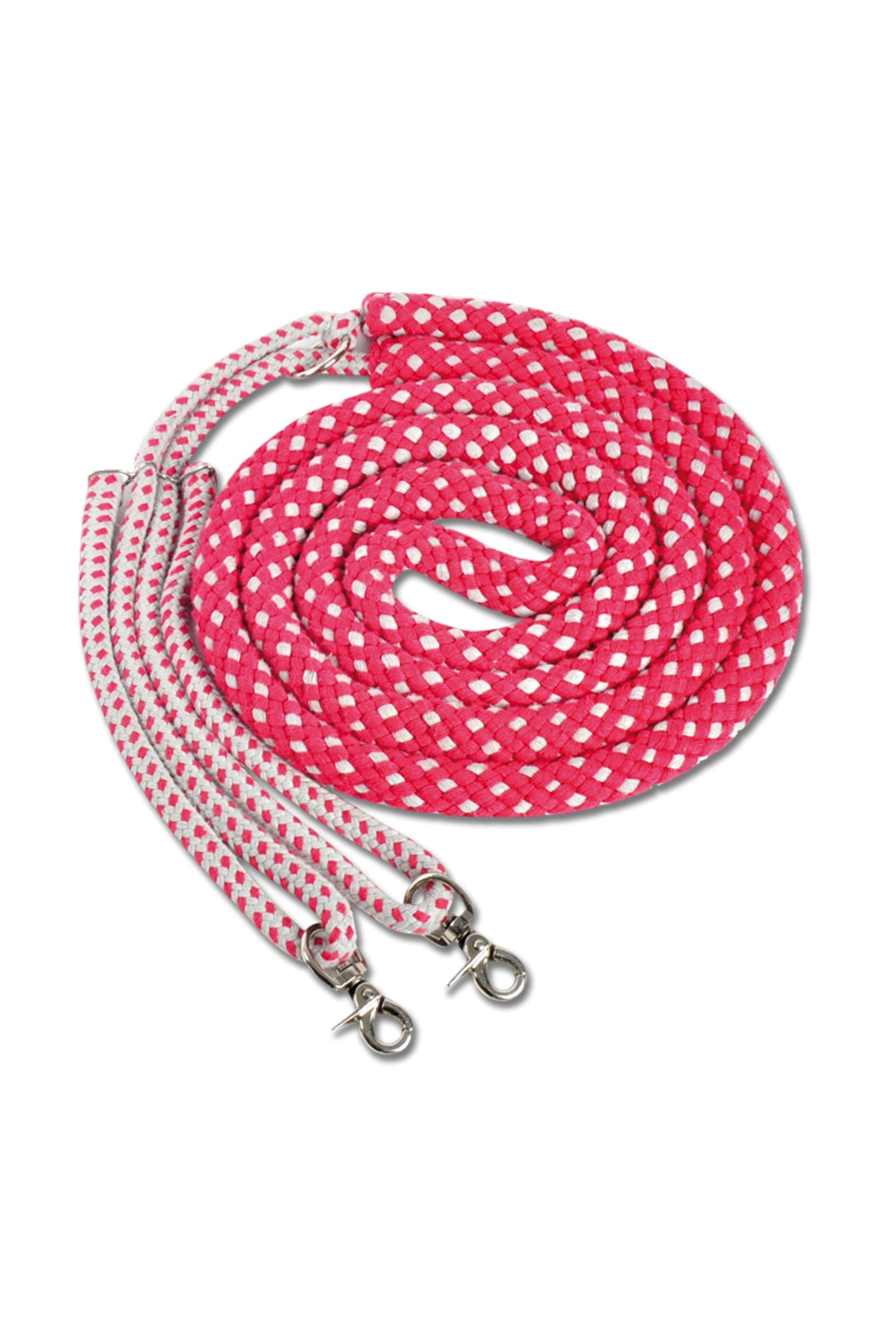 Waldhausen Sistema di longe Addestramento del cavallo