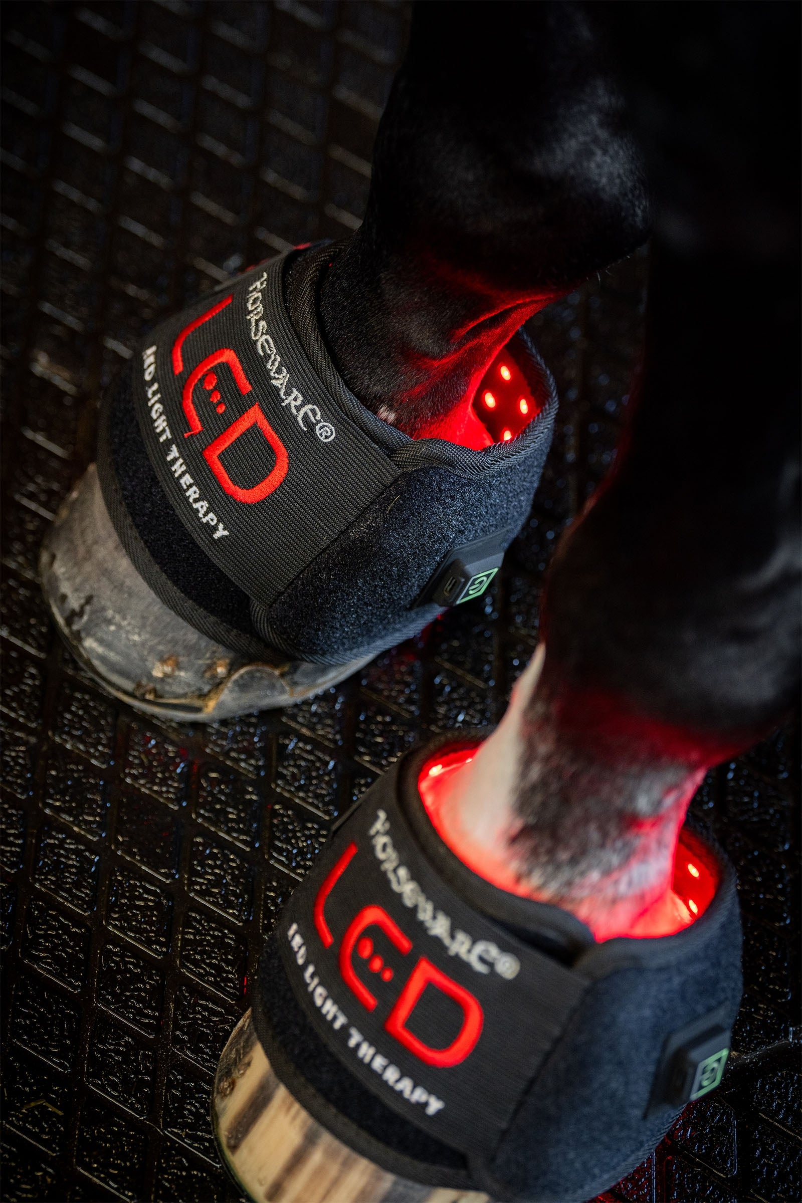 Horseware stinchiera terapeutica a LED con luce rossa mini (1 pz.) Leg & Hoof Protection
