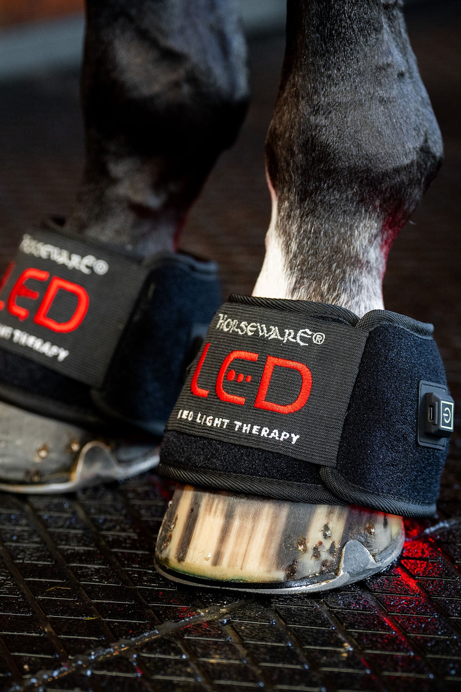 Horseware LED Red Light Therapy Mini Leg Wrap (1 pc.) Leg Protection & Hoof Protection for Horses