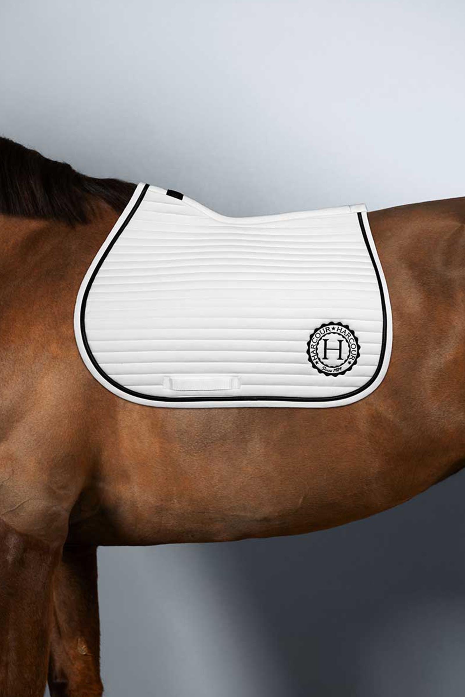 Harcour Karembar sottosella Rider Pony Sottosella
