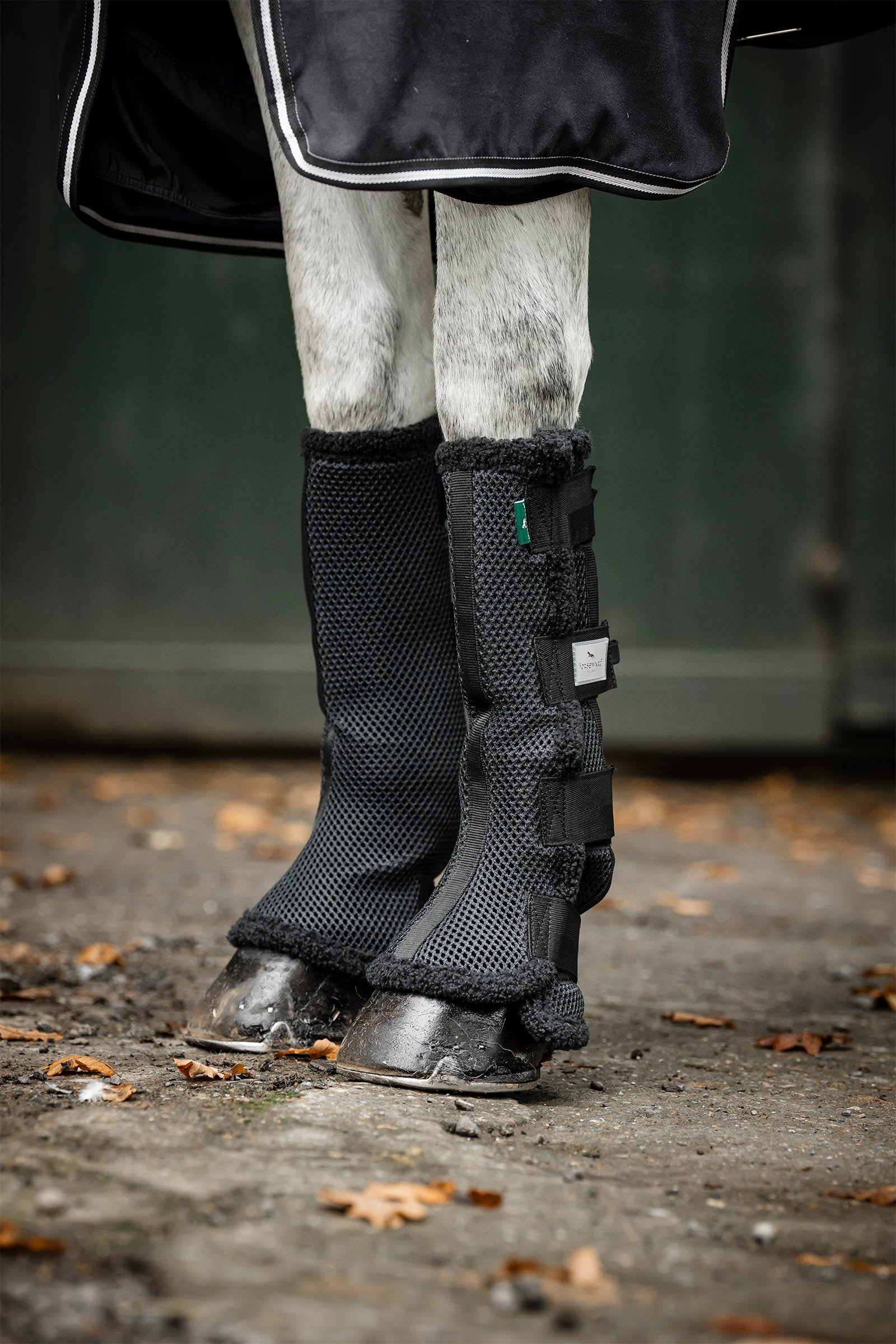Horseware Show Ready fasce Leg Protection & Hoof Protection for Horses