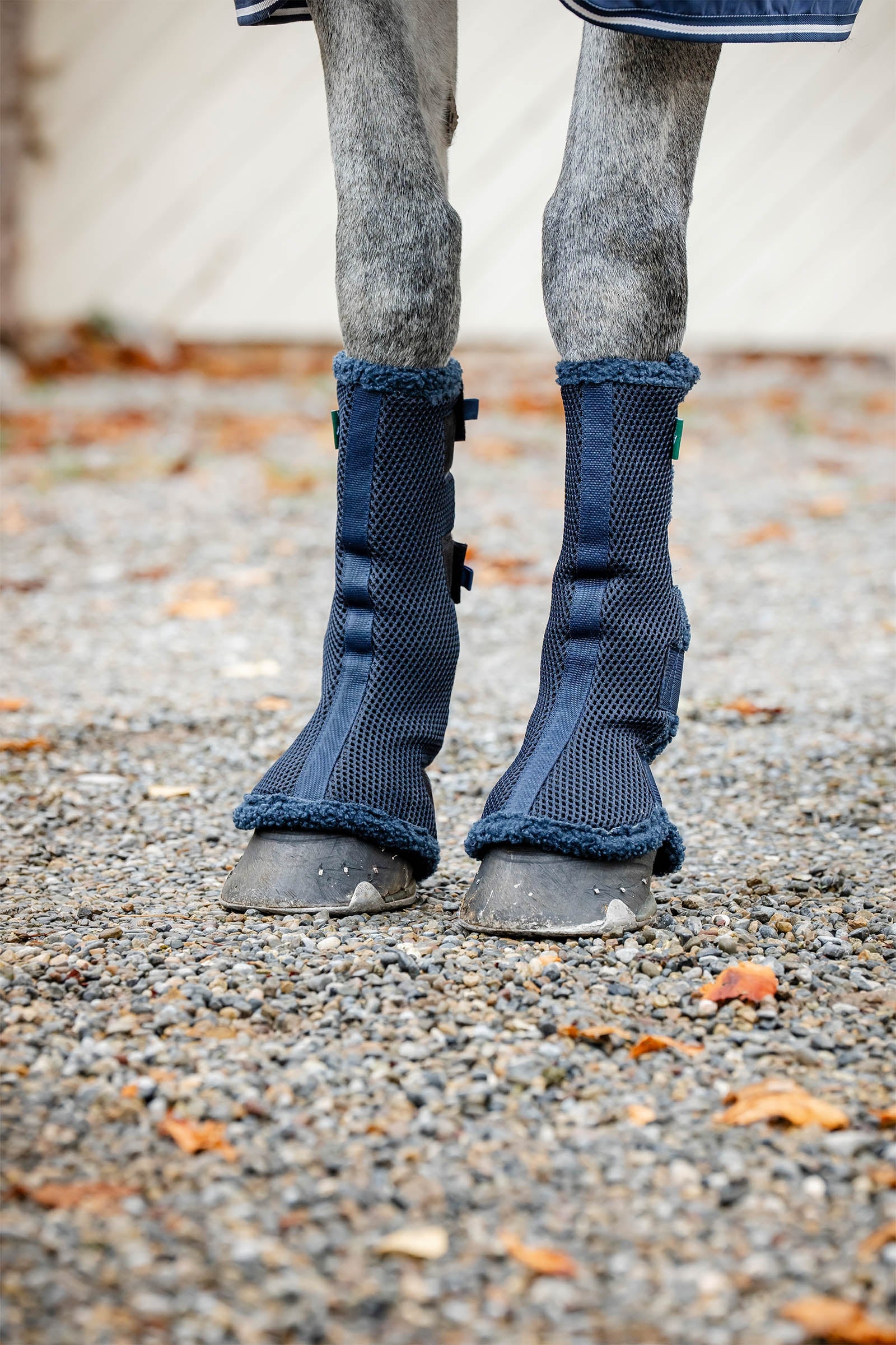 Horseware Show Ready fasce Leg Protection & Hoof Protection for Horses