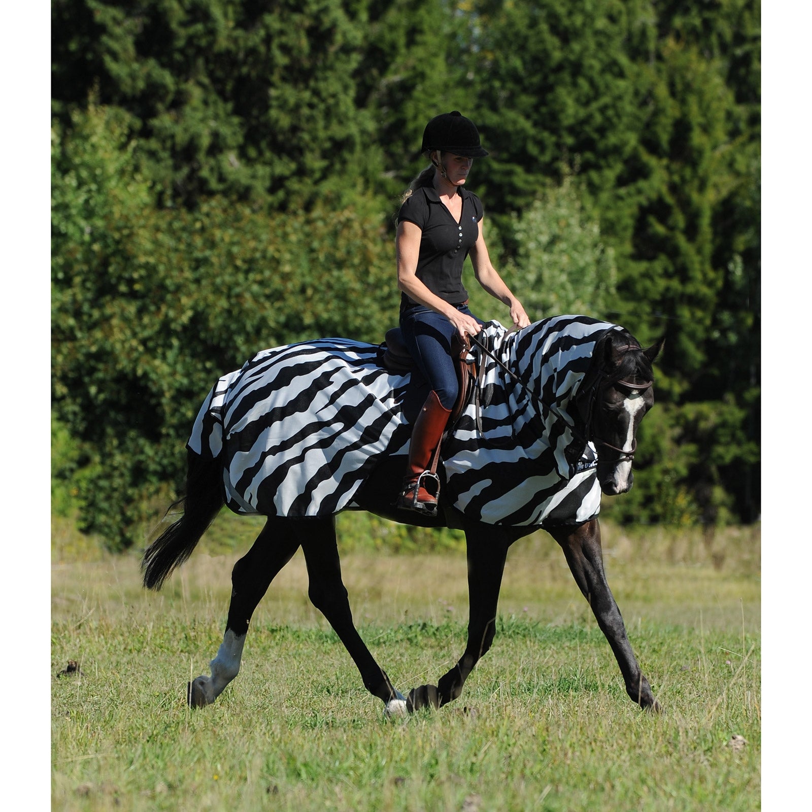 Bucas Buzz-Off Coperta antimosche da equitazione Zebra Coperte per cavalli