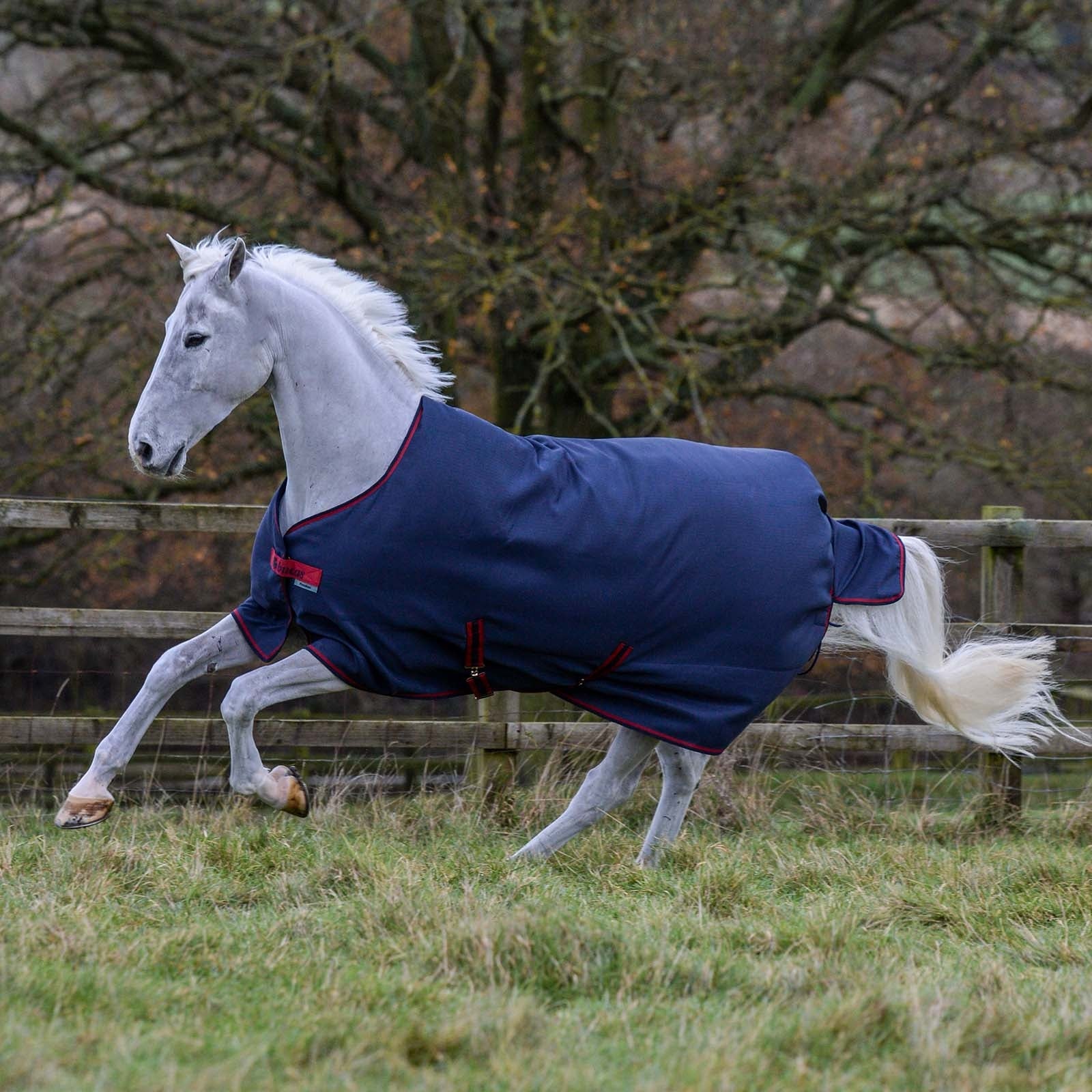 Bucas Freedom Coperta da turnout, 150g Coperte per cavalli