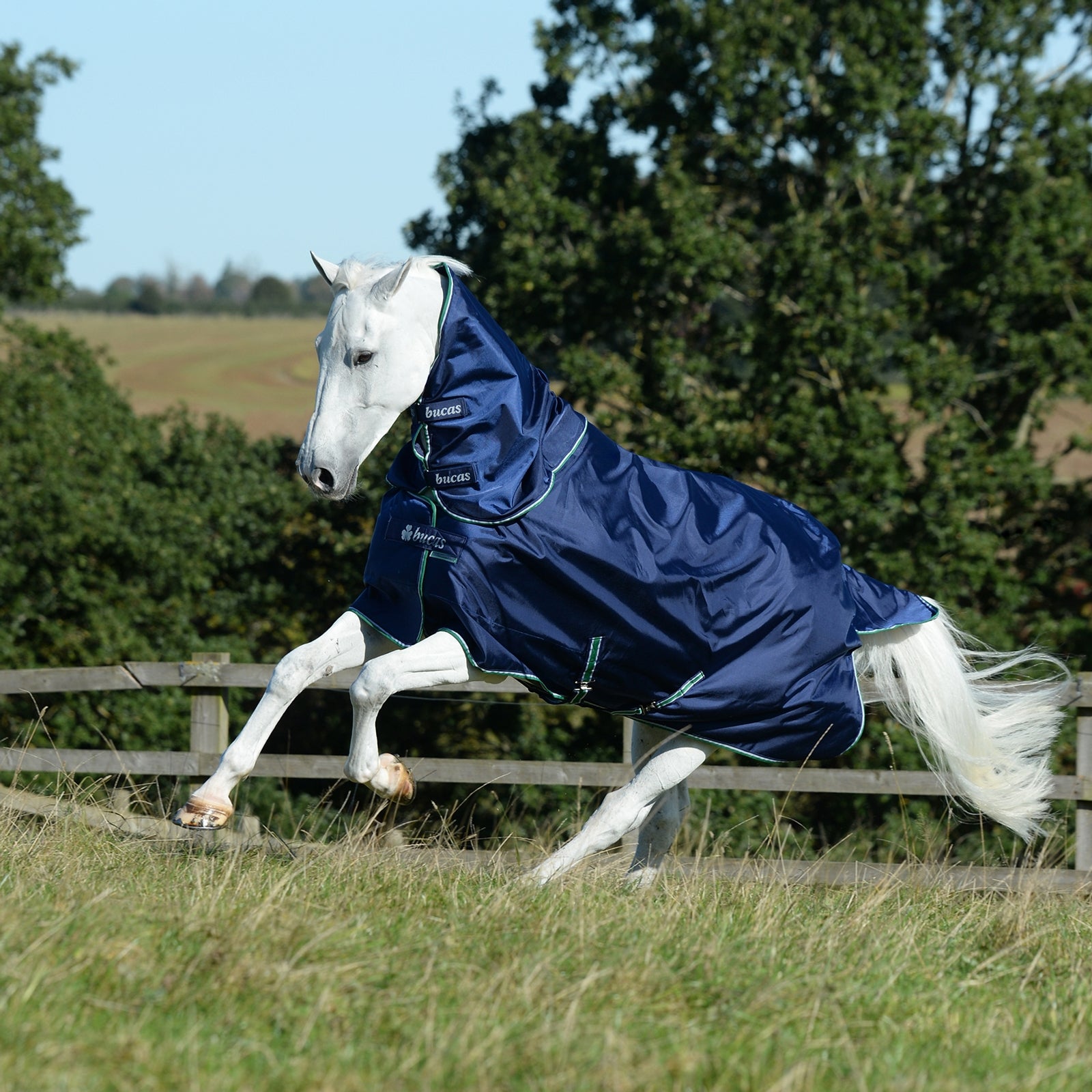 Bucas Smartex Protezione combo per collo 300 Coperte per cavalli