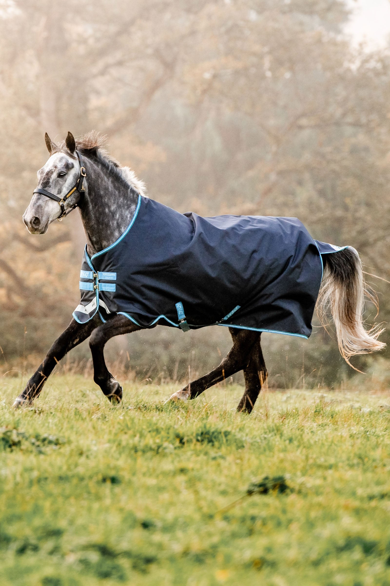 Horseware Amigo Bravo 12 coperta da turnout, 100g Coperte per cavalli