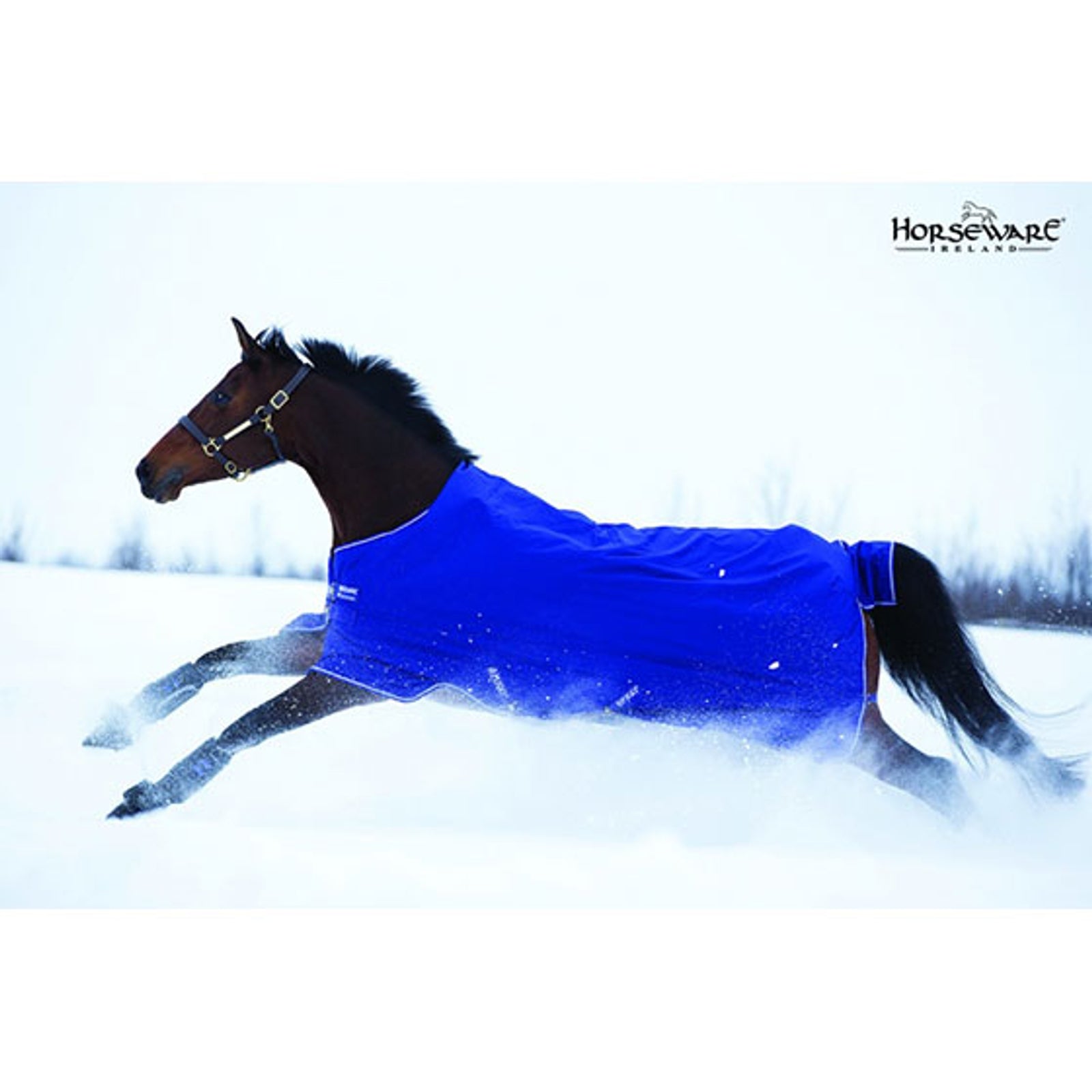 Horseware Amigo Hero-6 Lite, 0g Coperte per cavalli