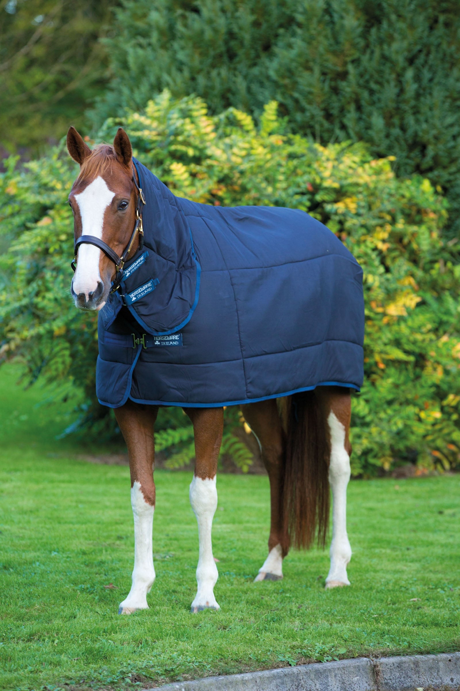 Horseware Sottocoperta Plus con collo fisso, 300 g Coperte per cavalli