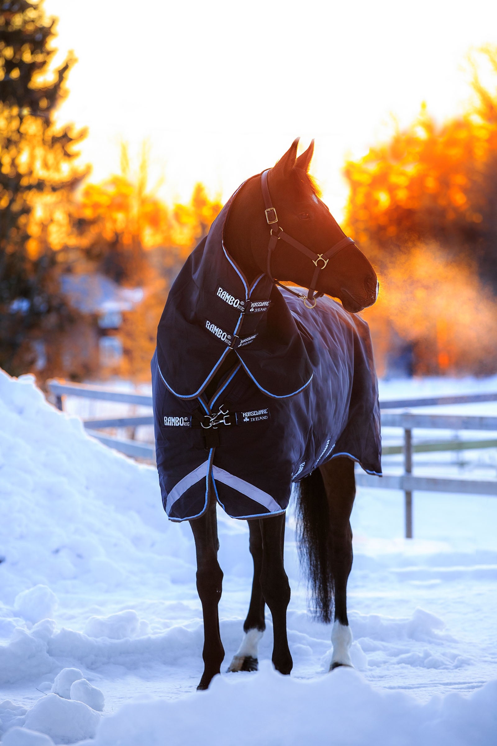 Horseware Rambo Duo Turnout Rug, 100g with detachable neck & 100g + 300g Under Rug Coperte per cavalli