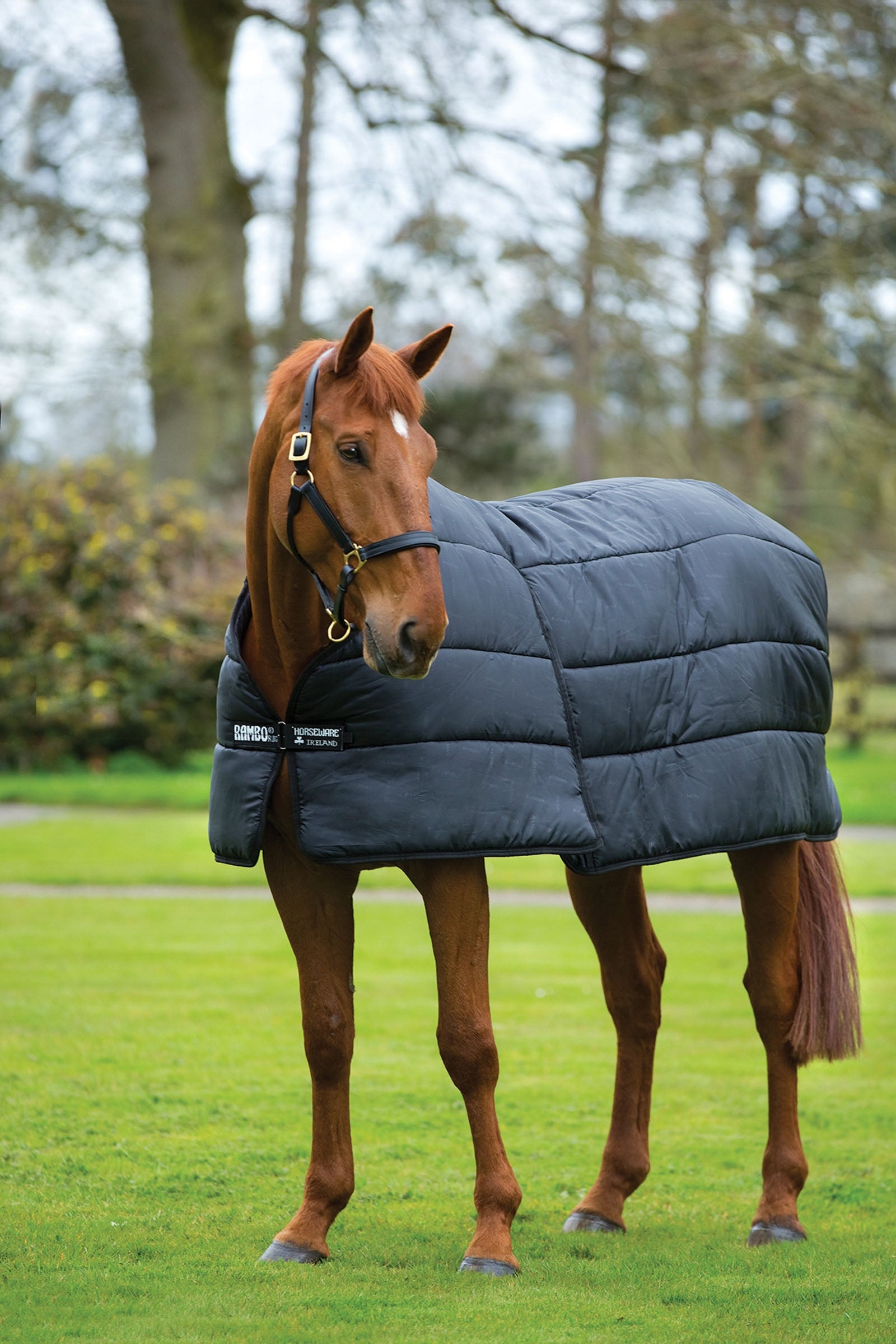 Horseware Rambo Optimo Sottocoperta, 200 gr Coperte per cavalli
