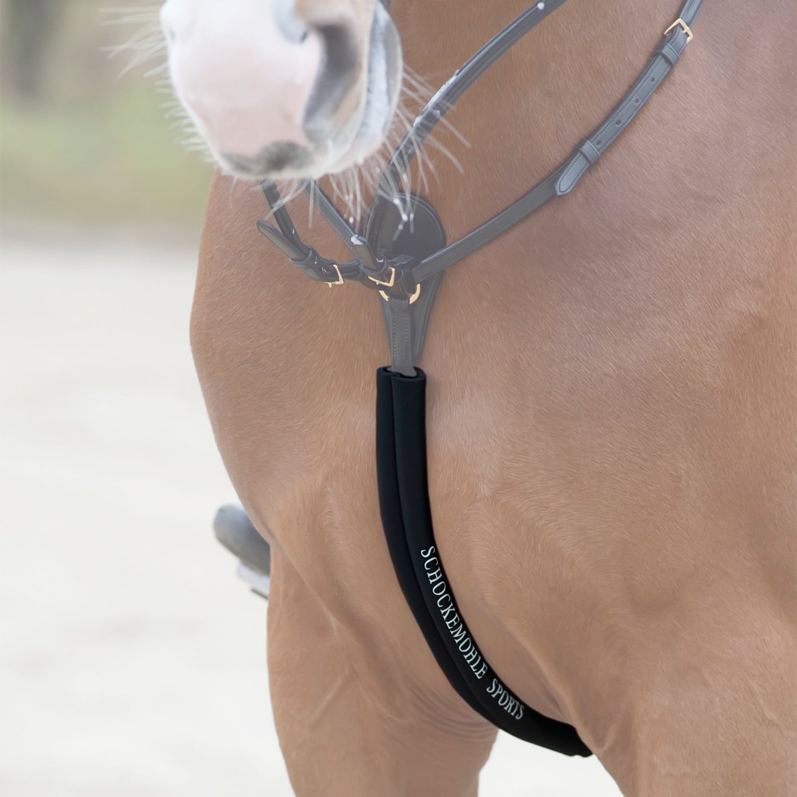 Schockemöhle Sports Body Guard, pettorale tubolare in neoprene Briglie & redini
