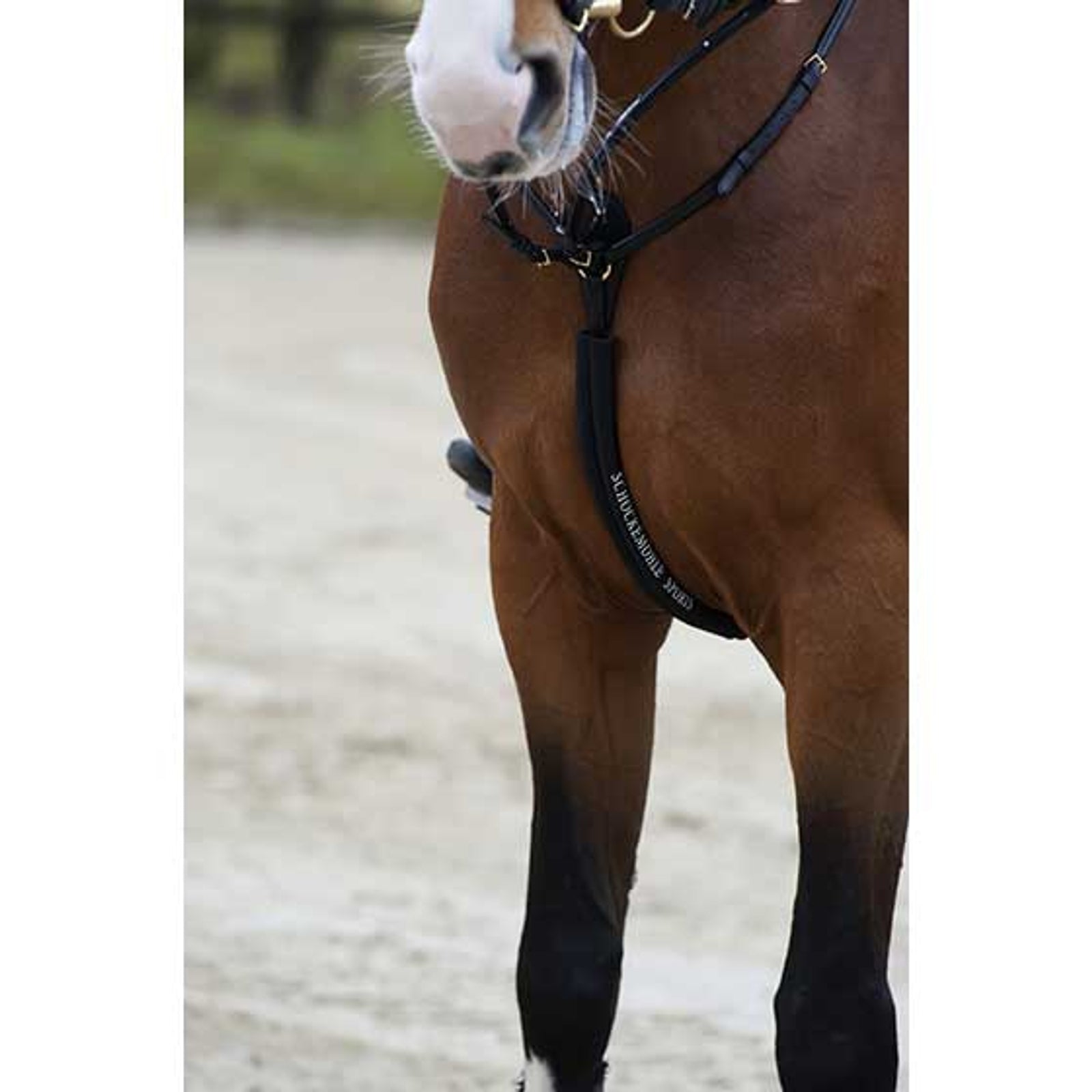 Schockemöhle Sports Body Guard, pettorale tubolare in neoprene Briglie & redini