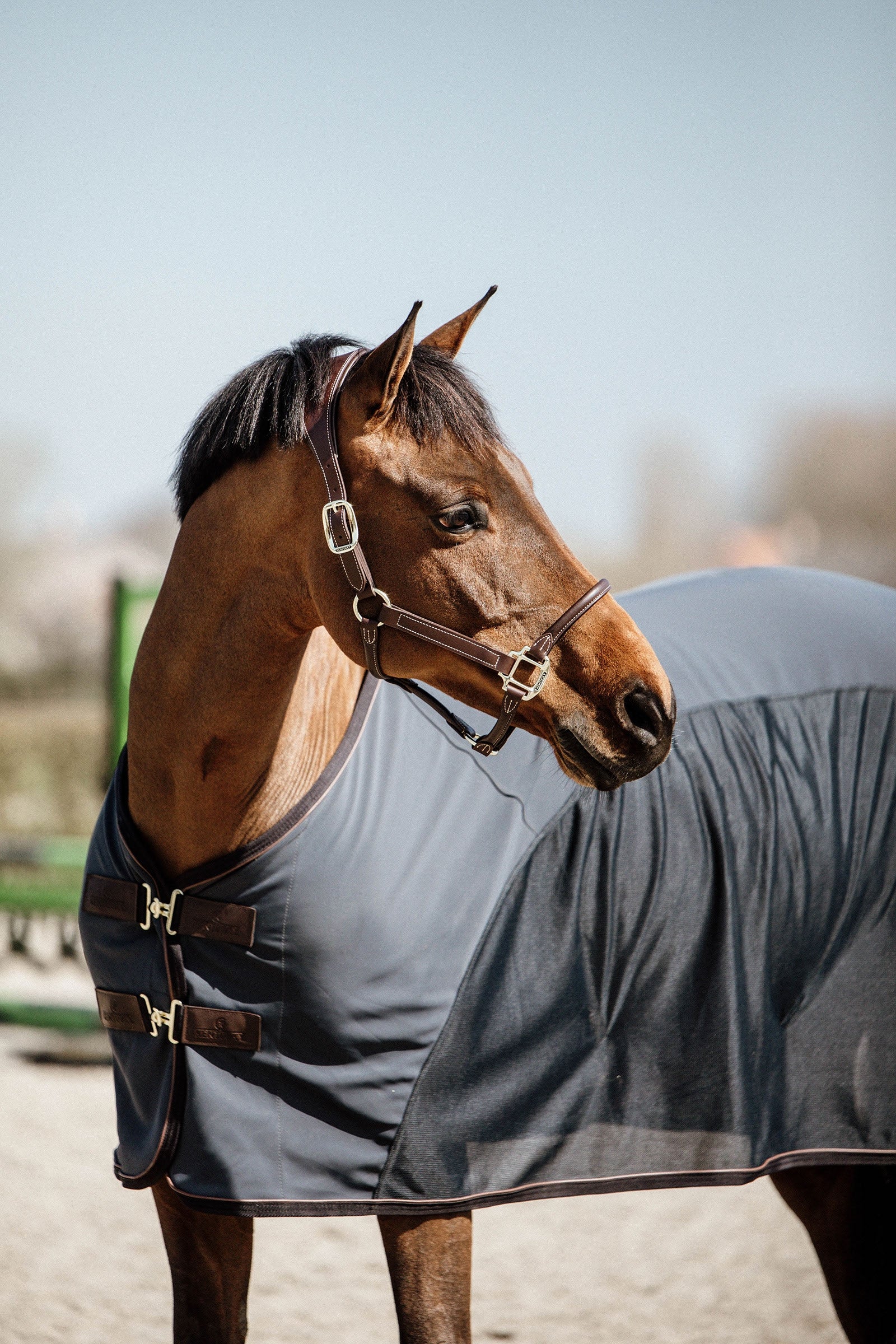 Kentucky Horsewear Borsa termica Softshell Kentucky Horsewear Coperte per cavalli