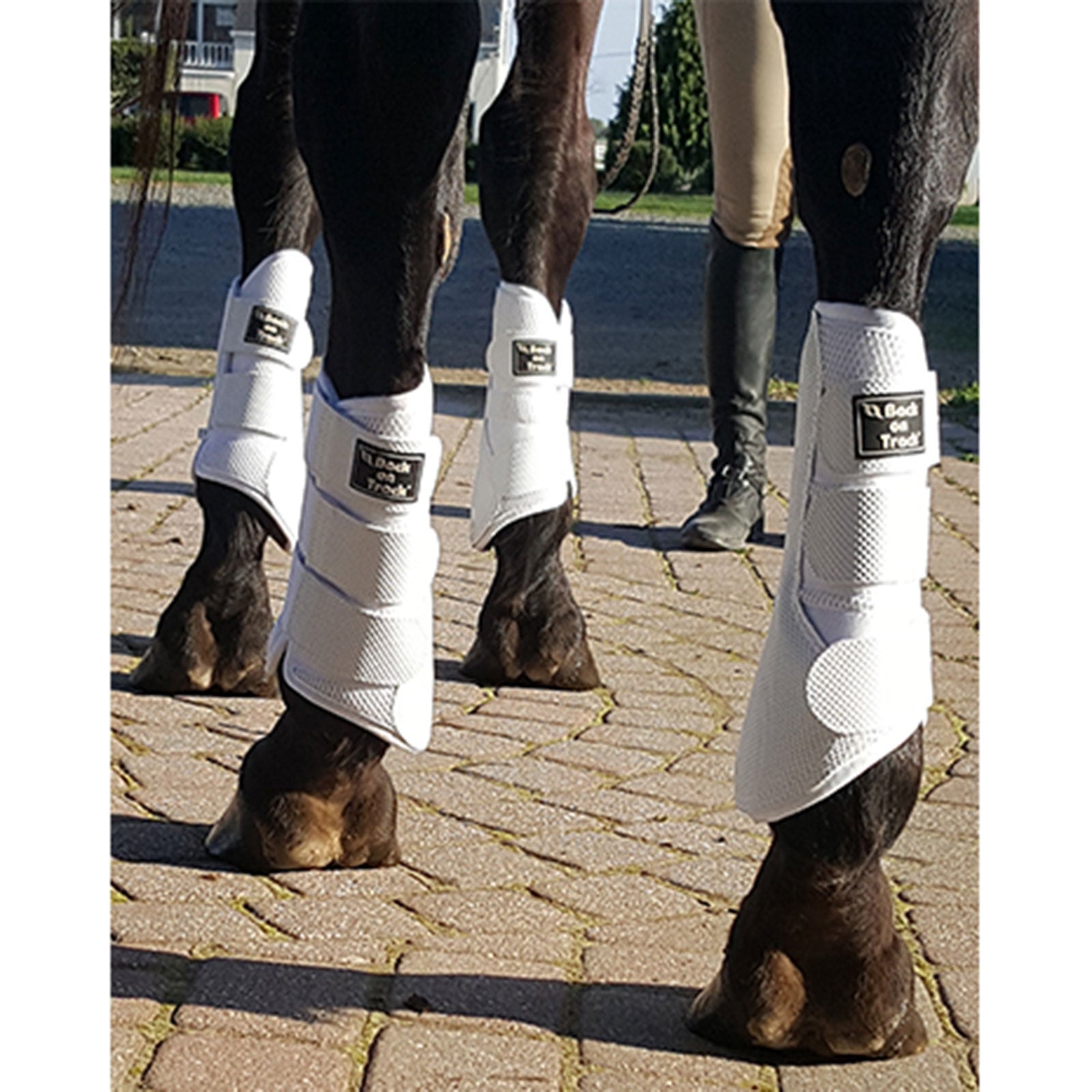 Back on Track Stivali con gambale, S-M Leg Protection & Hoof Protection for Horses