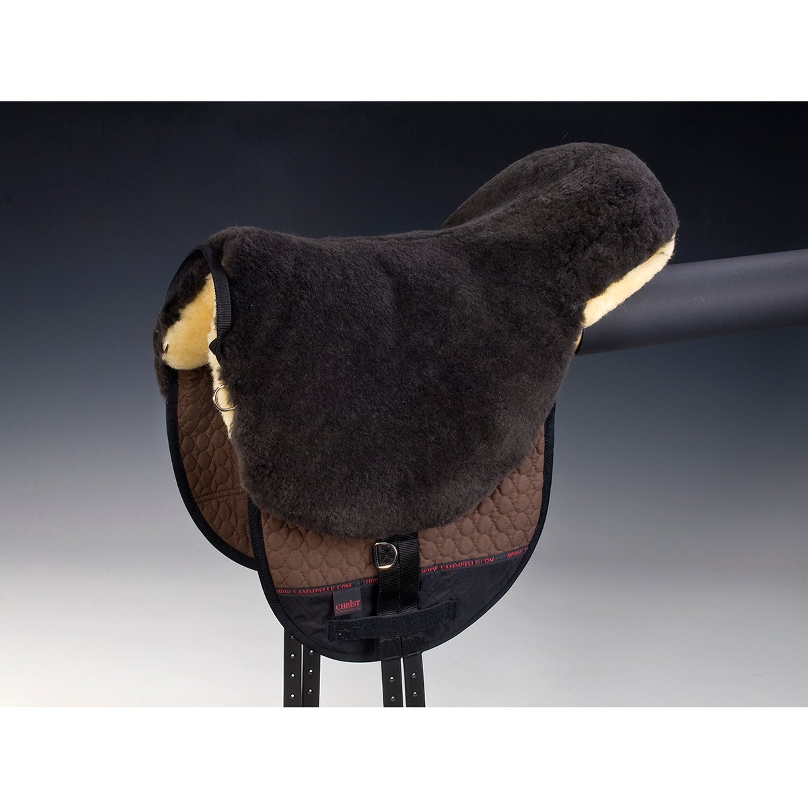 Christ Cristo Bareback in sella a Basic Plus, SH Selle & Sottopancia