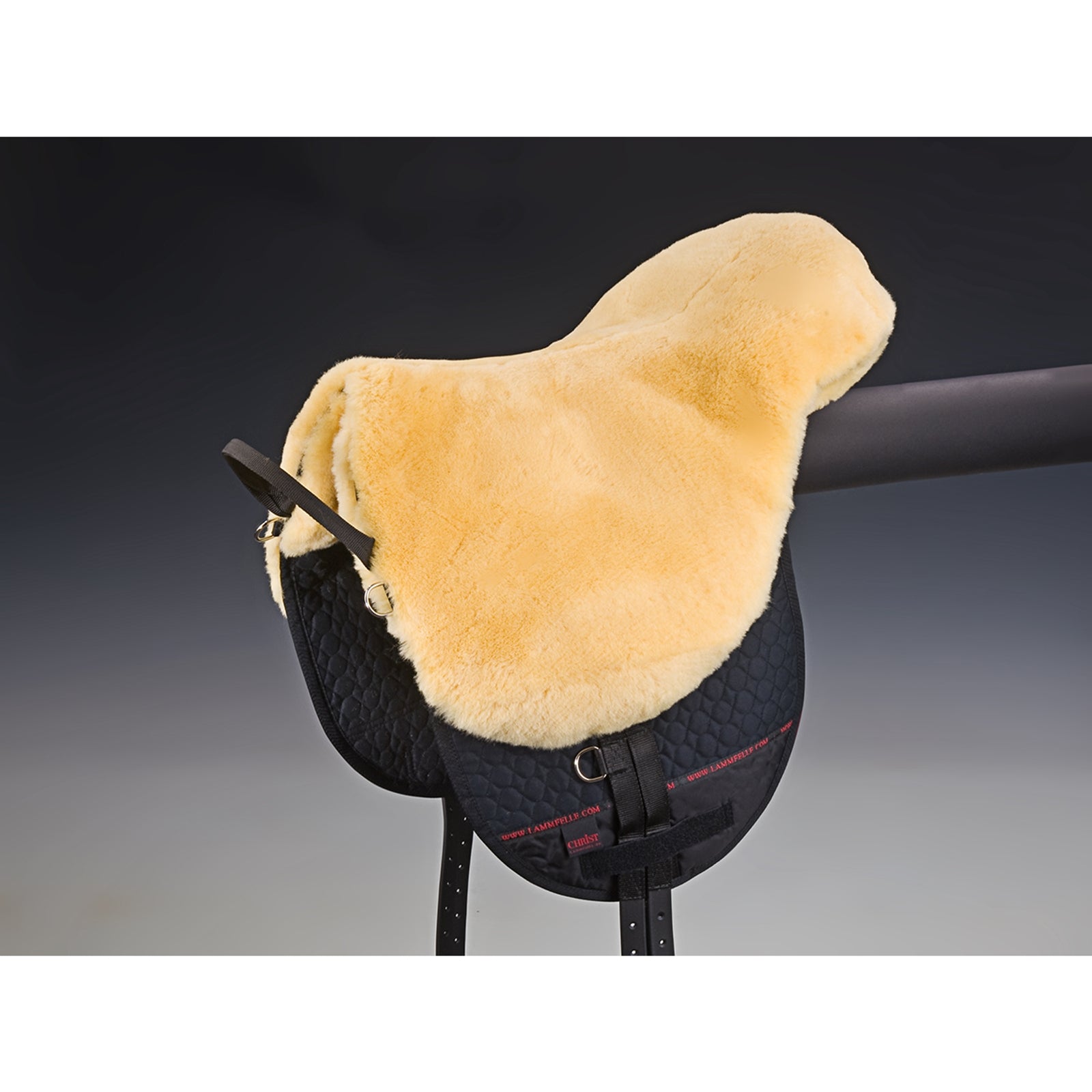 Christ Cristo Bareback in sella a Basic Plus, SH Selle & Sottopancia