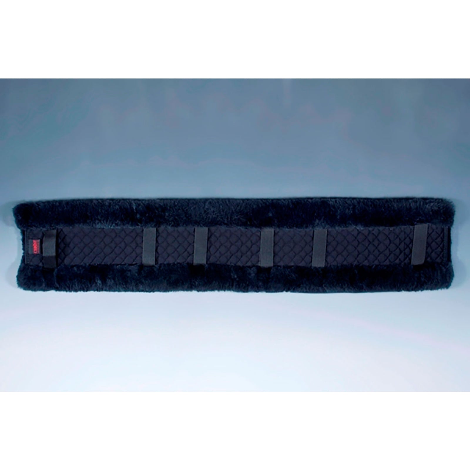 Christ Coprisella per imbracatura Cristo, 100 Attrezzatura per la corsa