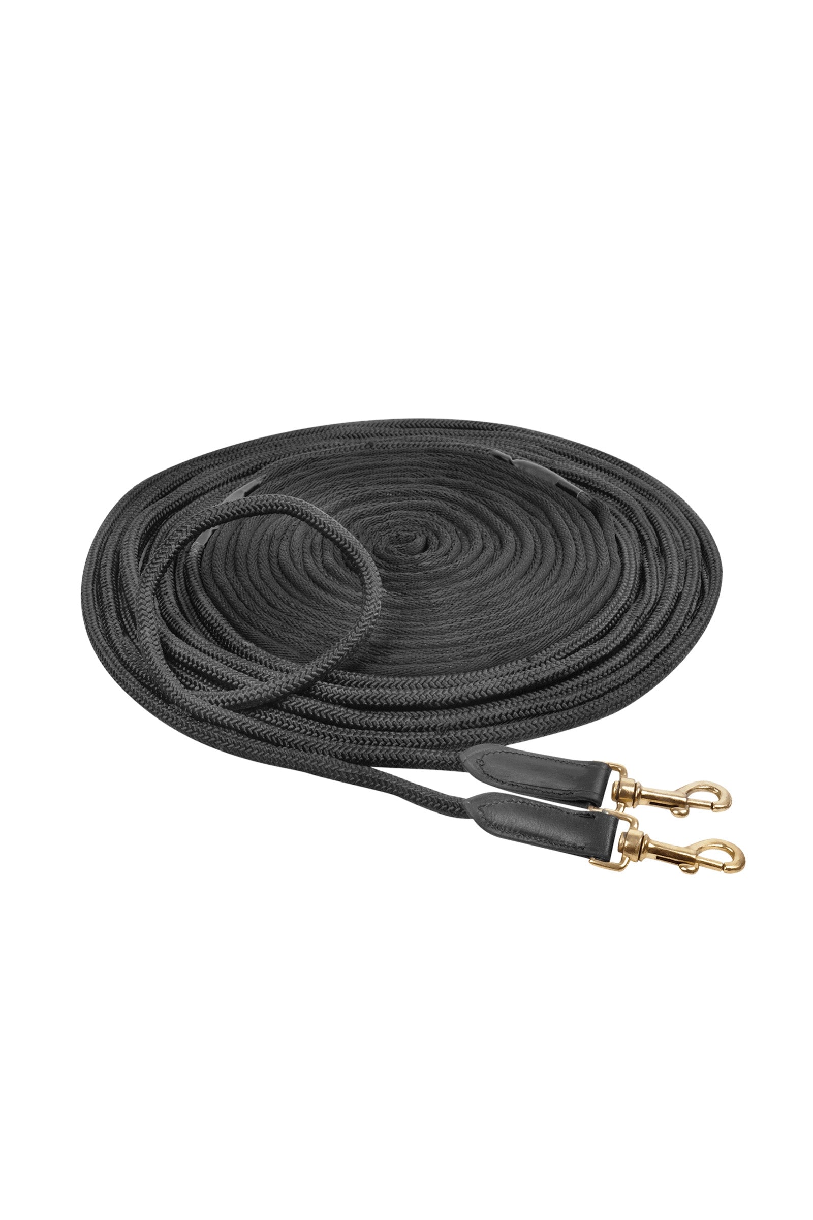 Waldhausen Redini Lunghe Addestramento del cavallo