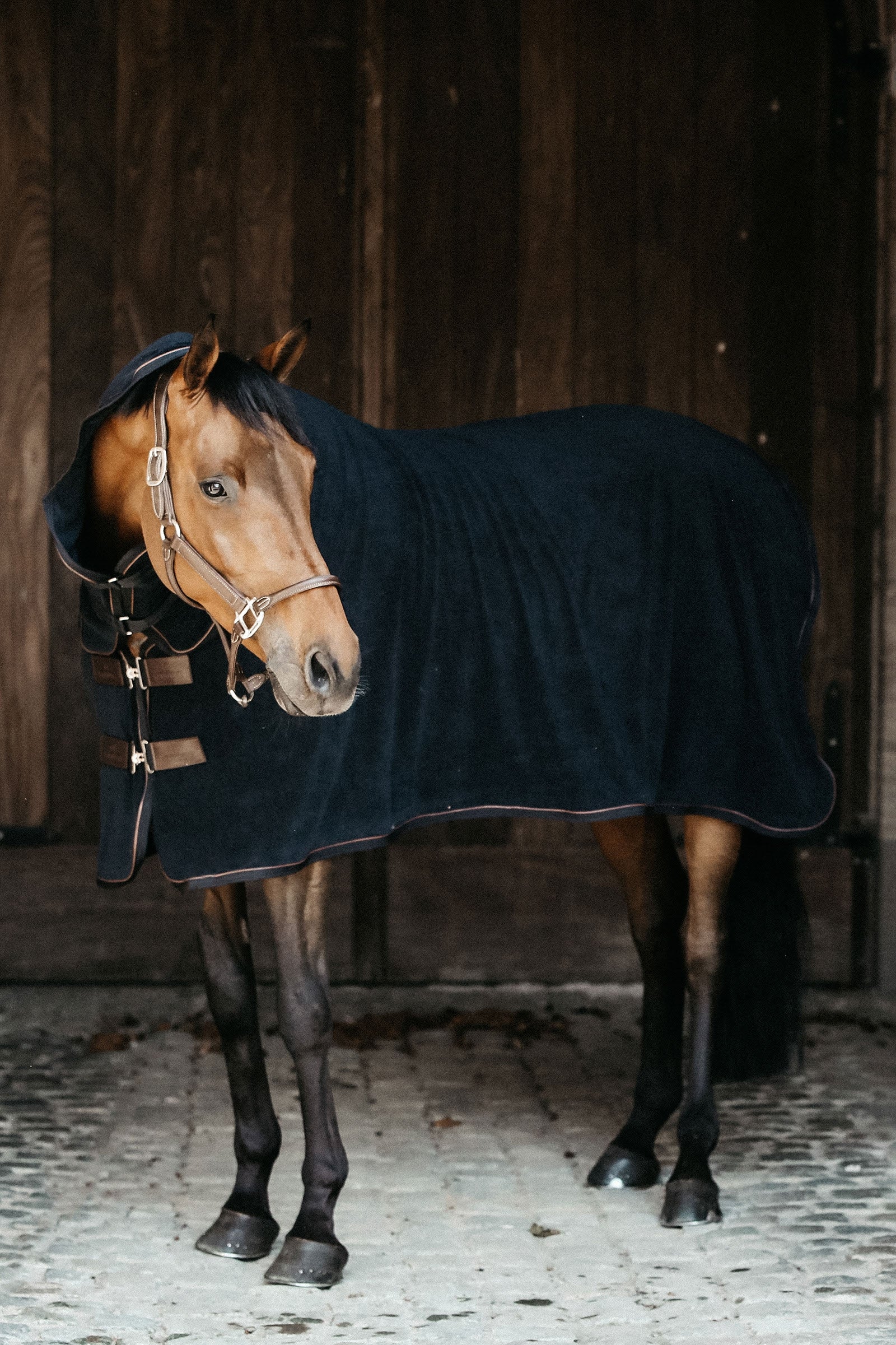 Kentucky Horsewear Tappeto refrigerante per asciugamani Kentucky Horsewear Coperte per cavalli
