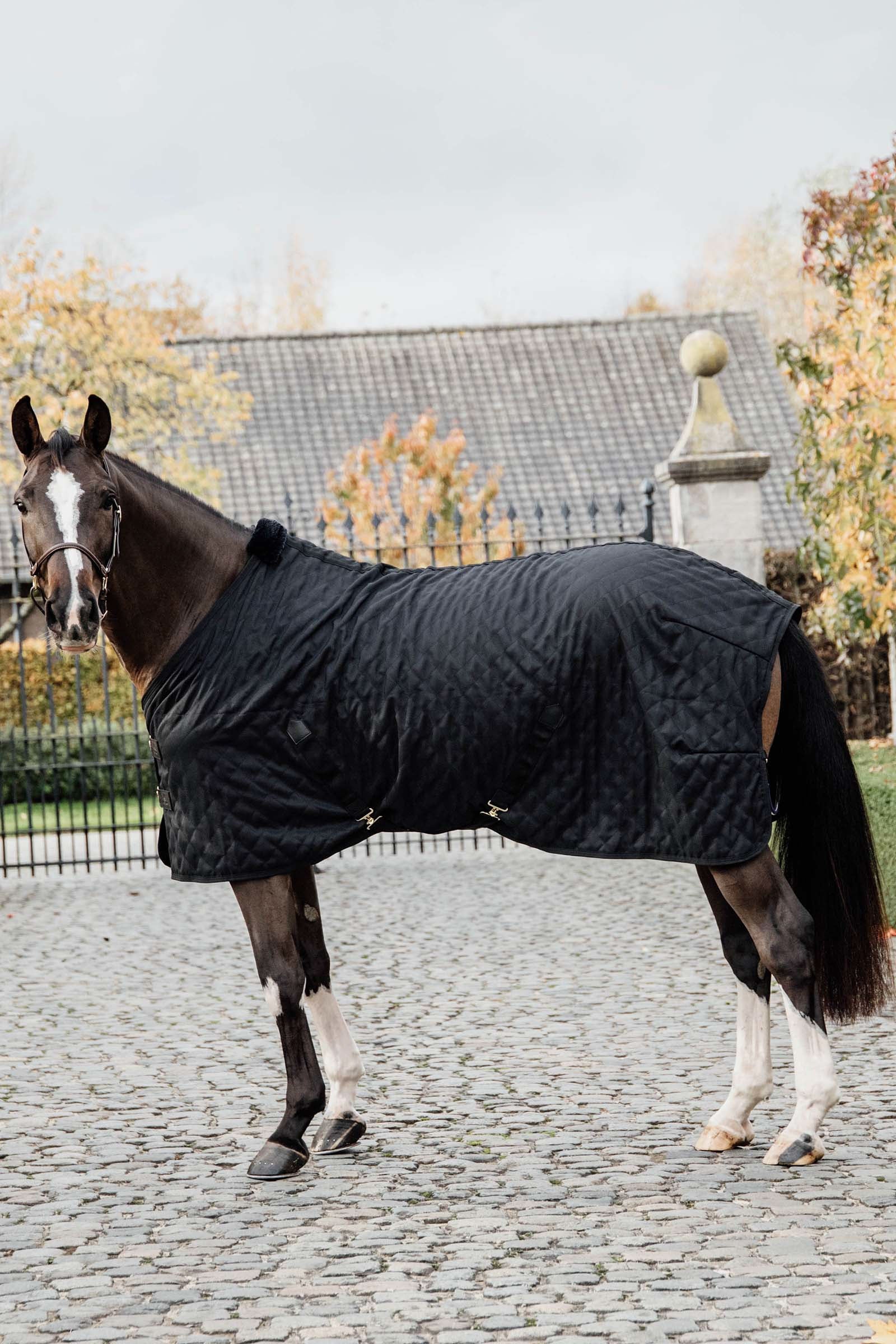 Kentucky Horsewear Coperta da scuderia Kentucky Horsewear, 0 g Coperte per cavalli