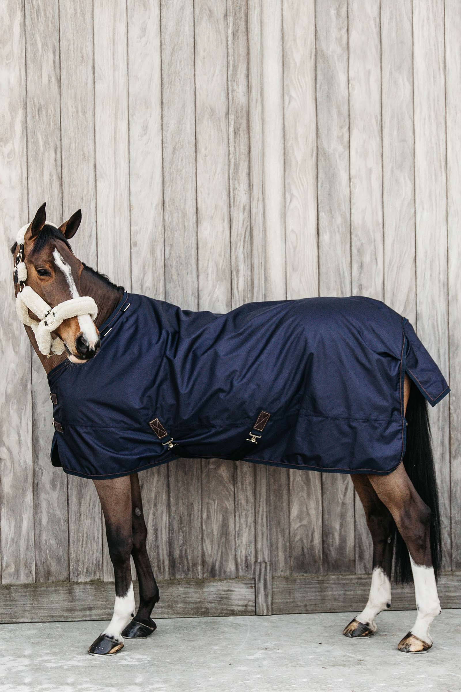Kentucky Horsewear Coperta da turnout All Weather, 160 gr Coperte per cavalli