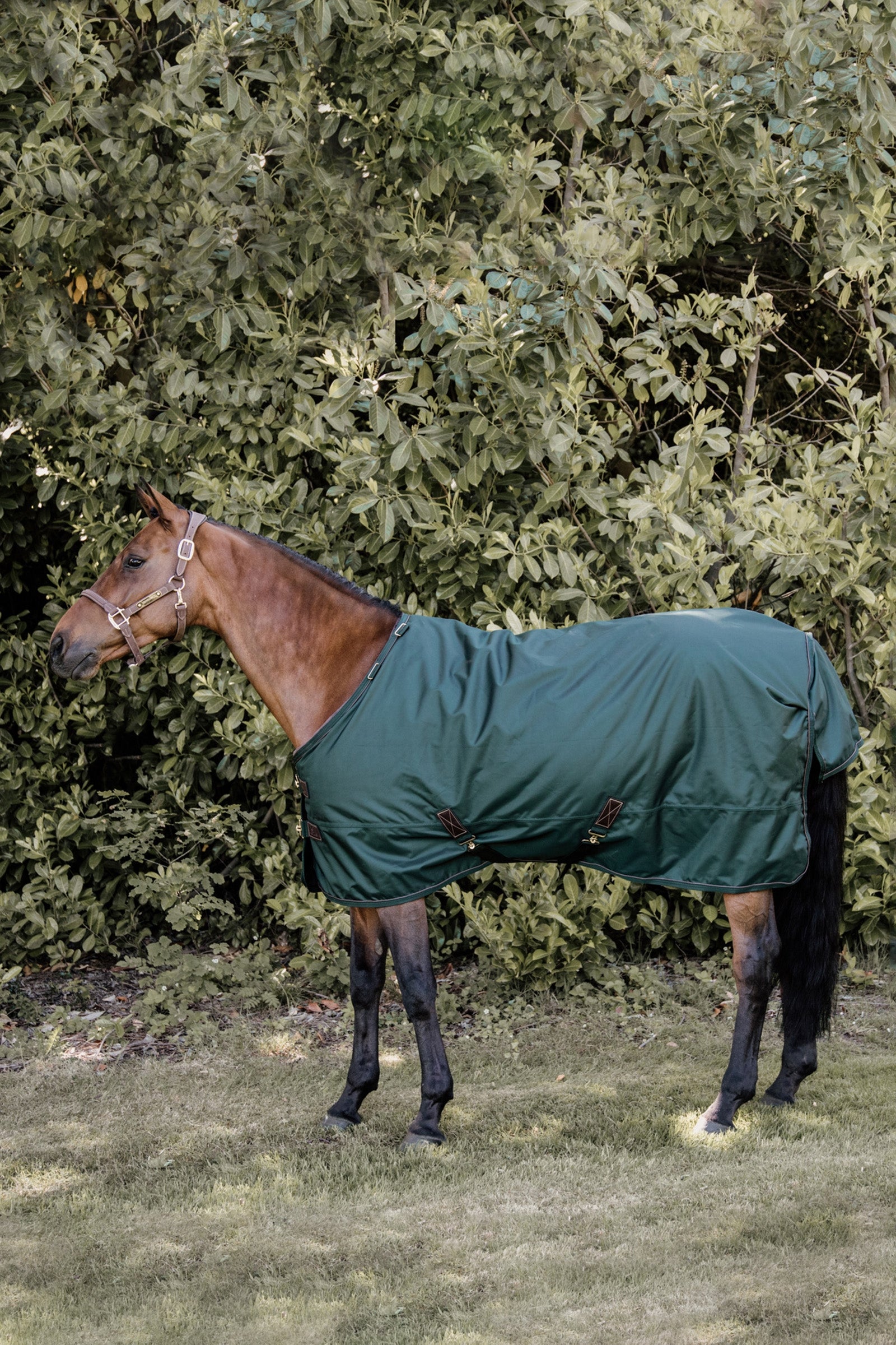 Kentucky Horsewear Coperta da turnout All Weather, 160 gr Coperte per cavalli