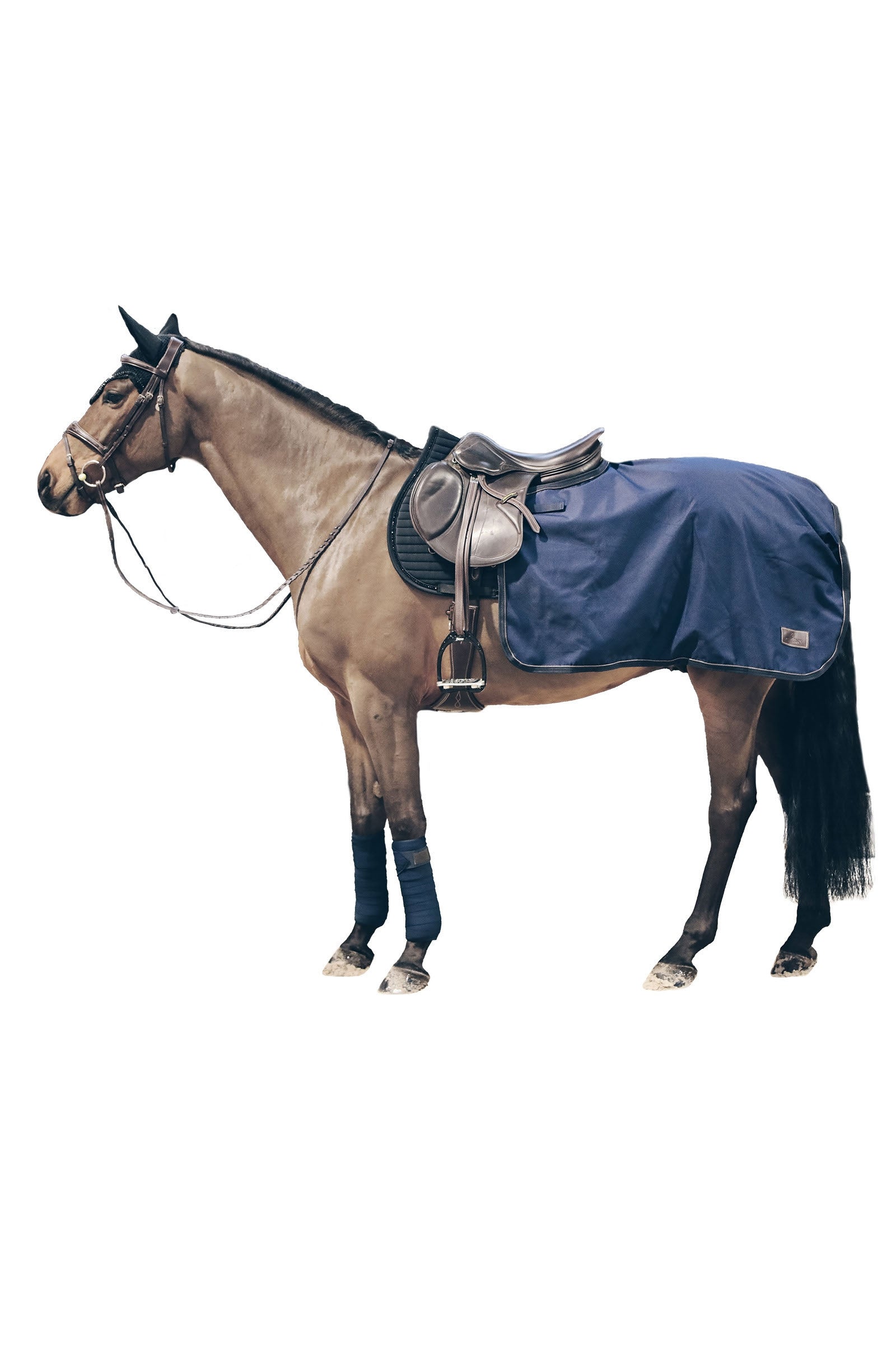 Kentucky Horsewear - Foglio per esercizi per tutte le stagioni, 160 g Coperte per cavalli