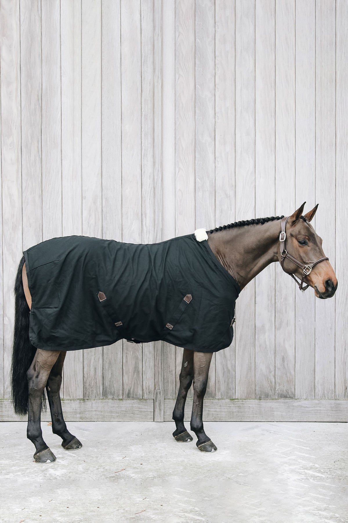 Kentucky Horsewear Borsa termica in cotone Kentucky Horsewear Coperte per cavalli