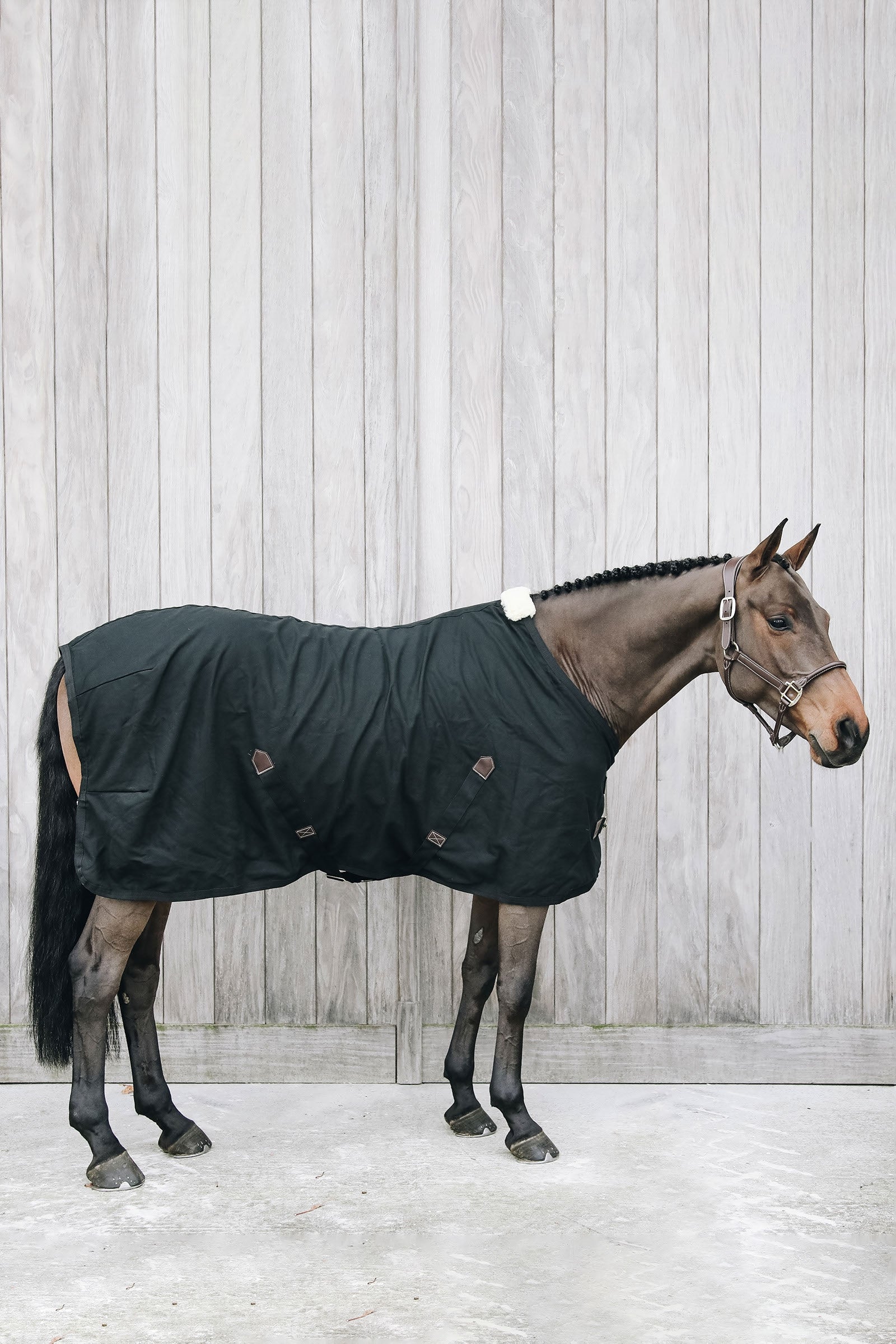Kentucky Horsewear Borsa termica in cotone Kentucky Horsewear Coperte per cavalli