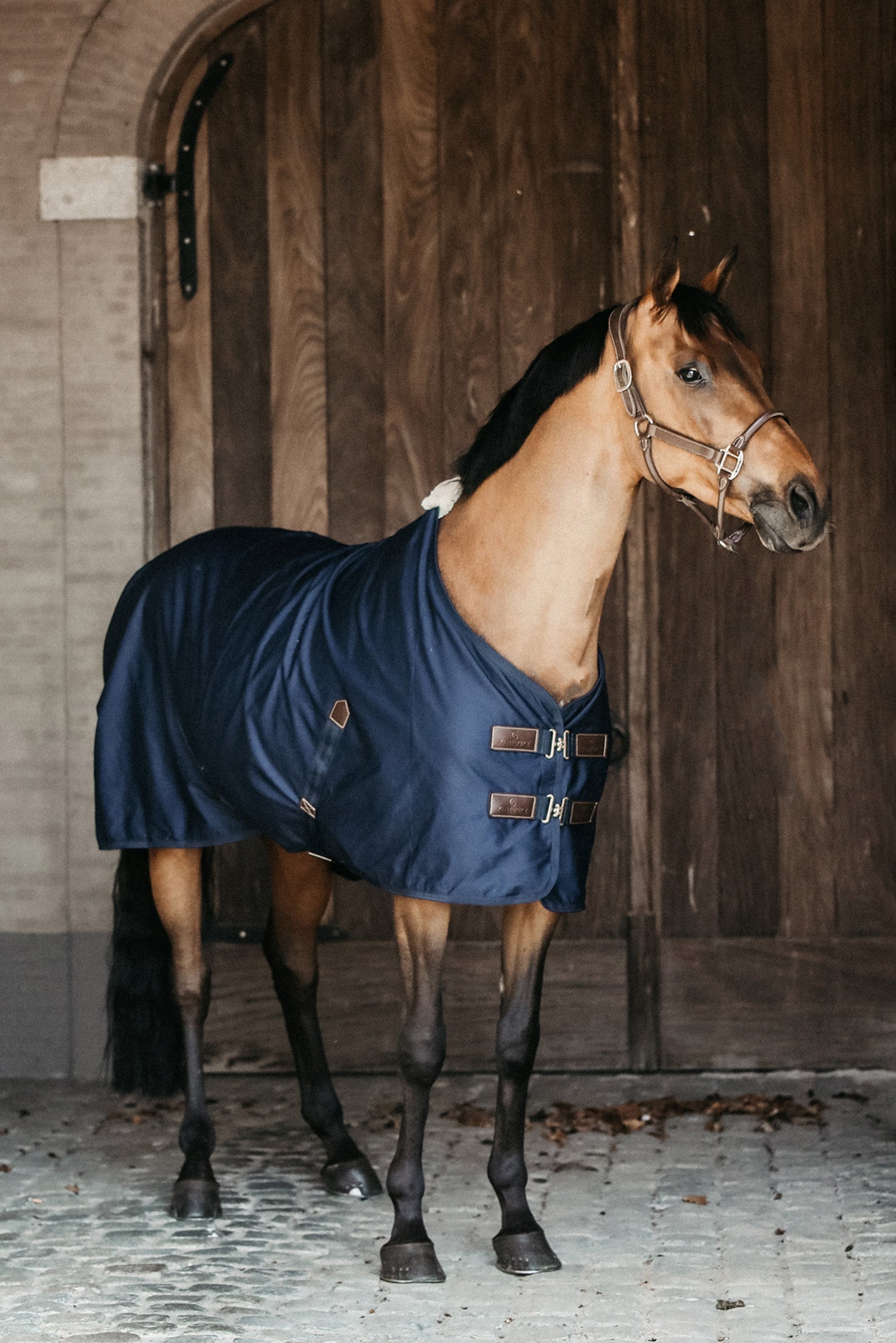Kentucky Horsewear Borsa termica in cotone Coperte per cavalli