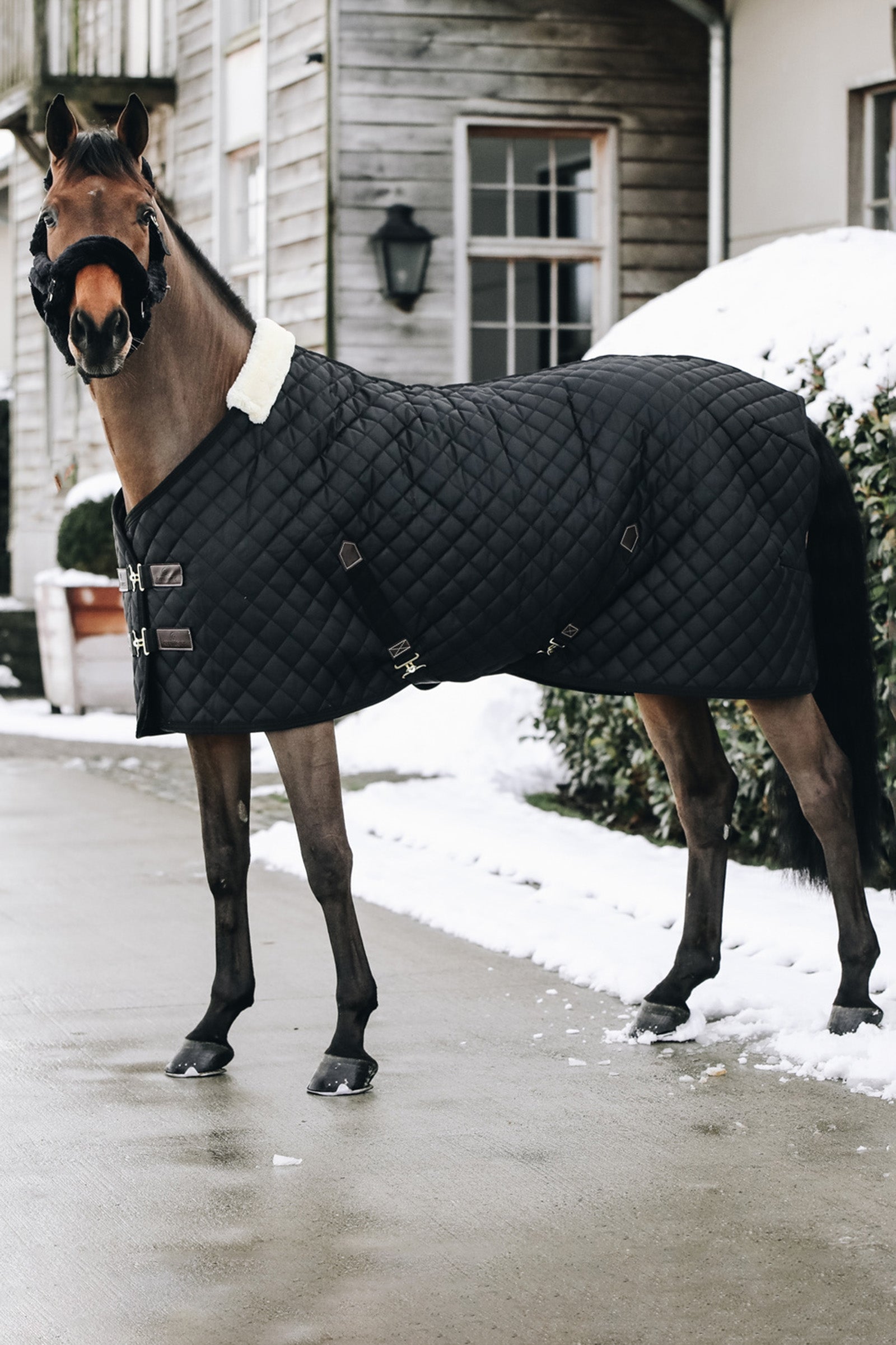 Kentucky Horsewear Kentucky Horsewear, Coperta da scuderia 400 gr Coperte per cavalli