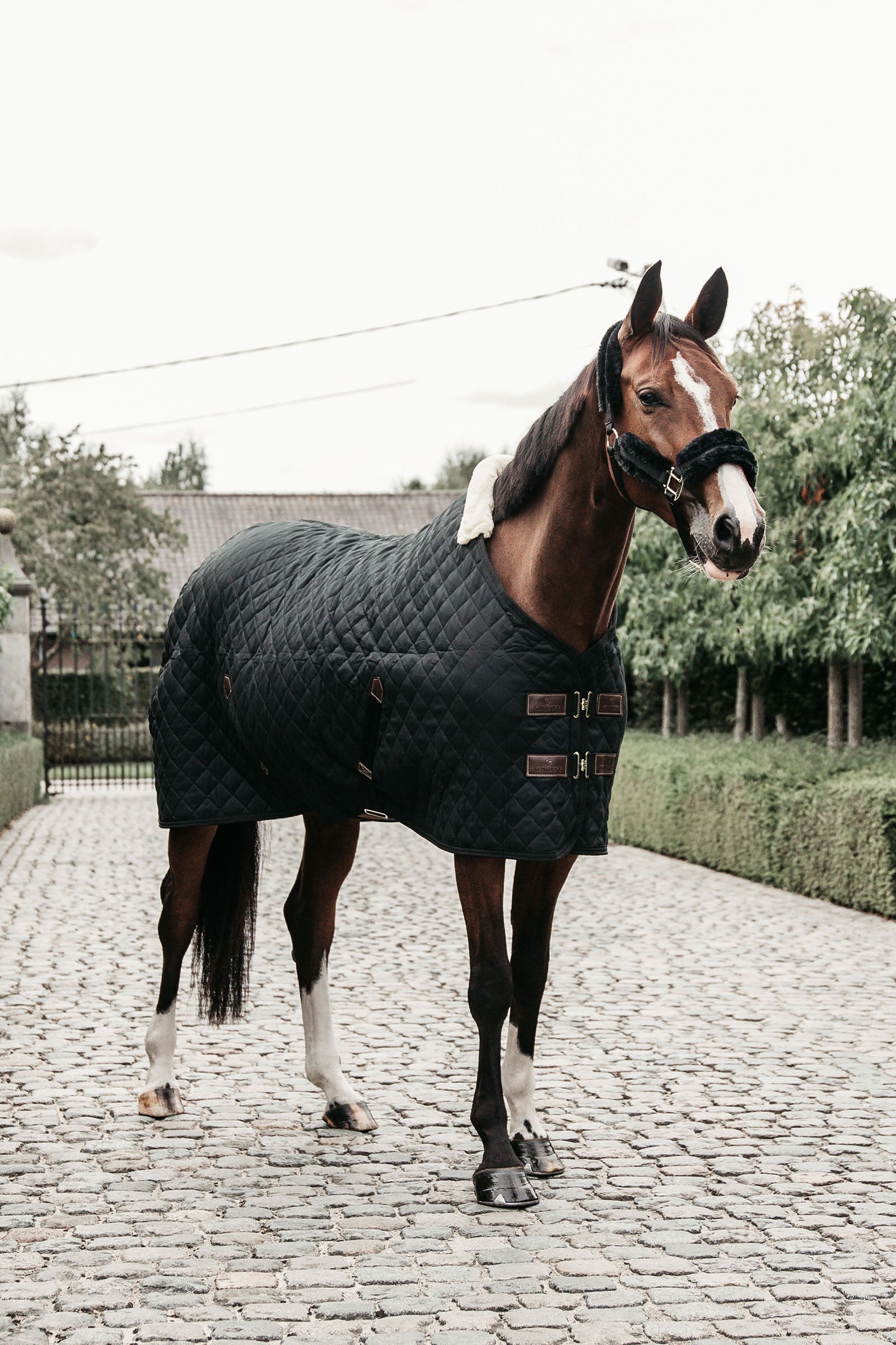 Kentucky Horsewear Kentucky Horsewear, Coperta da scuderia 400 gr Coperte per cavalli