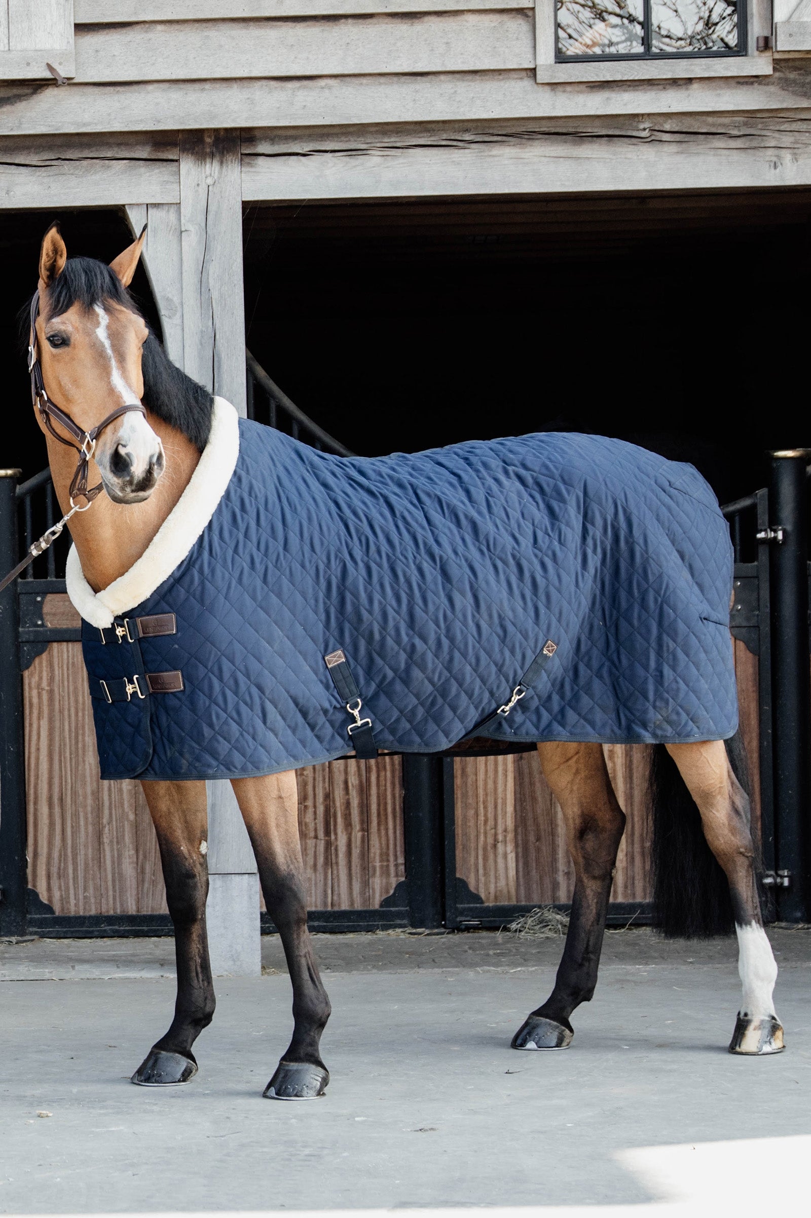 Kentucky Horsewear Coperta da concorso, 160 gr Coperte per cavalli