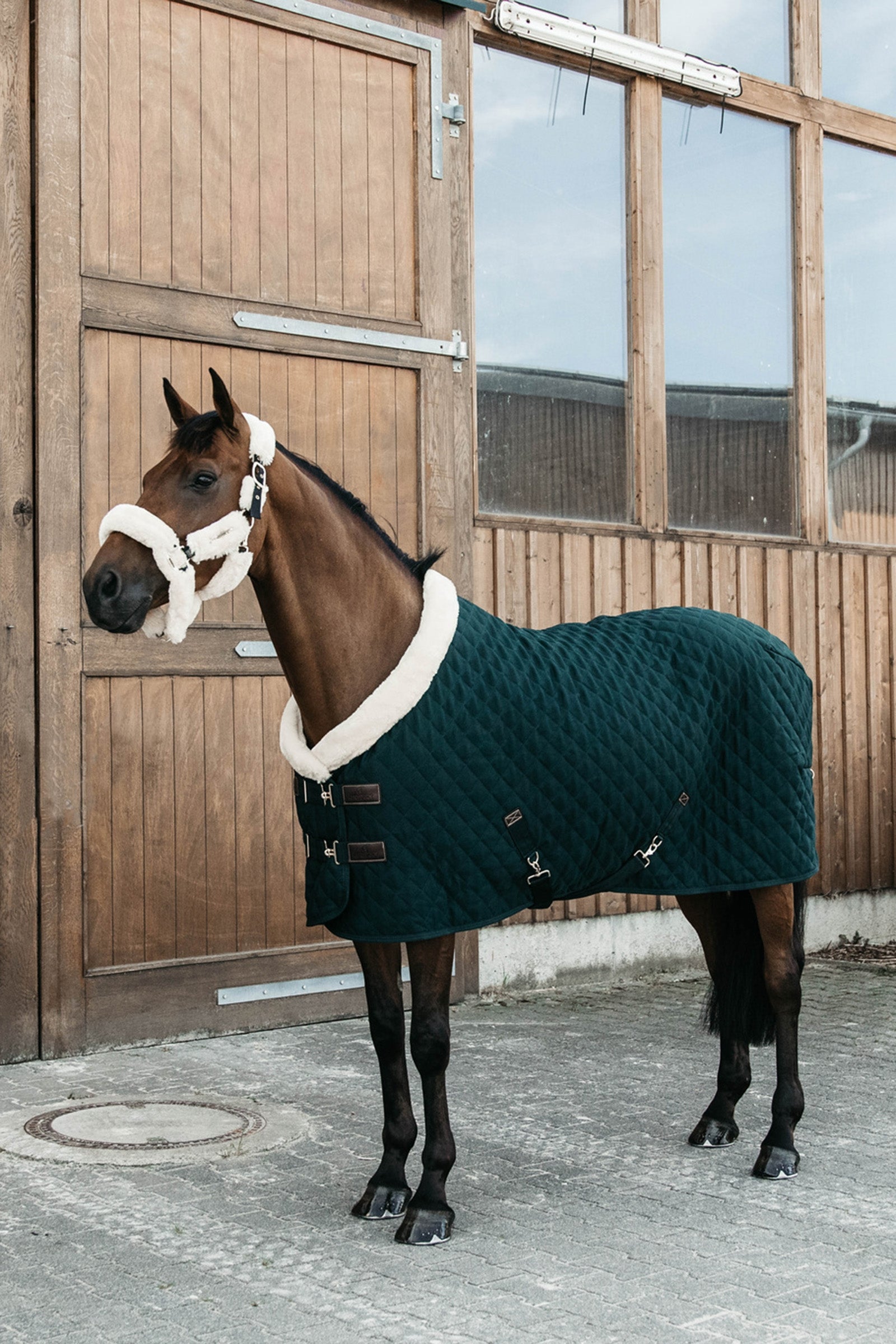 Kentucky Horsewear Coperta da concorso, 160 gr Coperte per cavalli