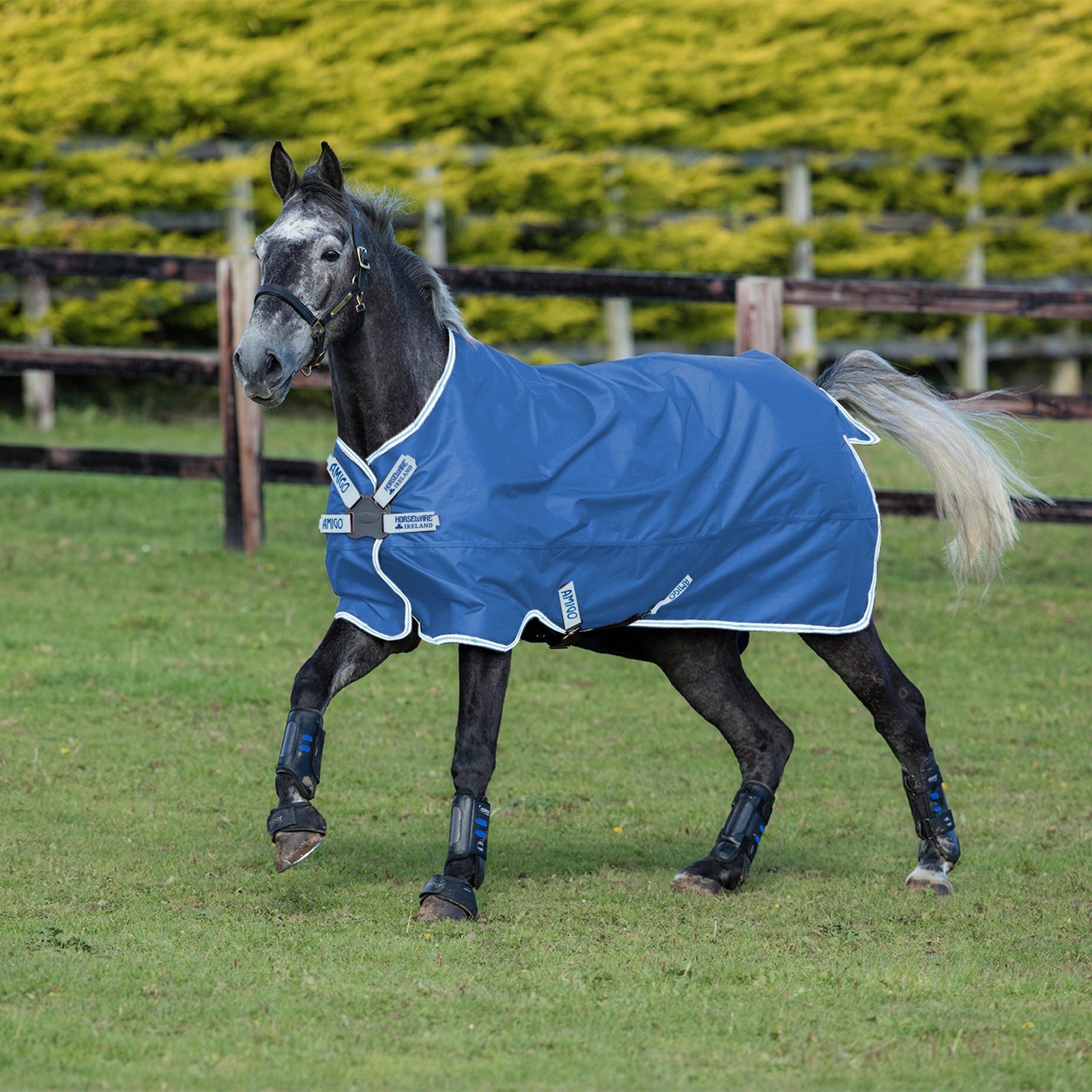 Horseware Amigo Hero 900 Disc Turnout Tappeto, 50g Coperte per cavalli