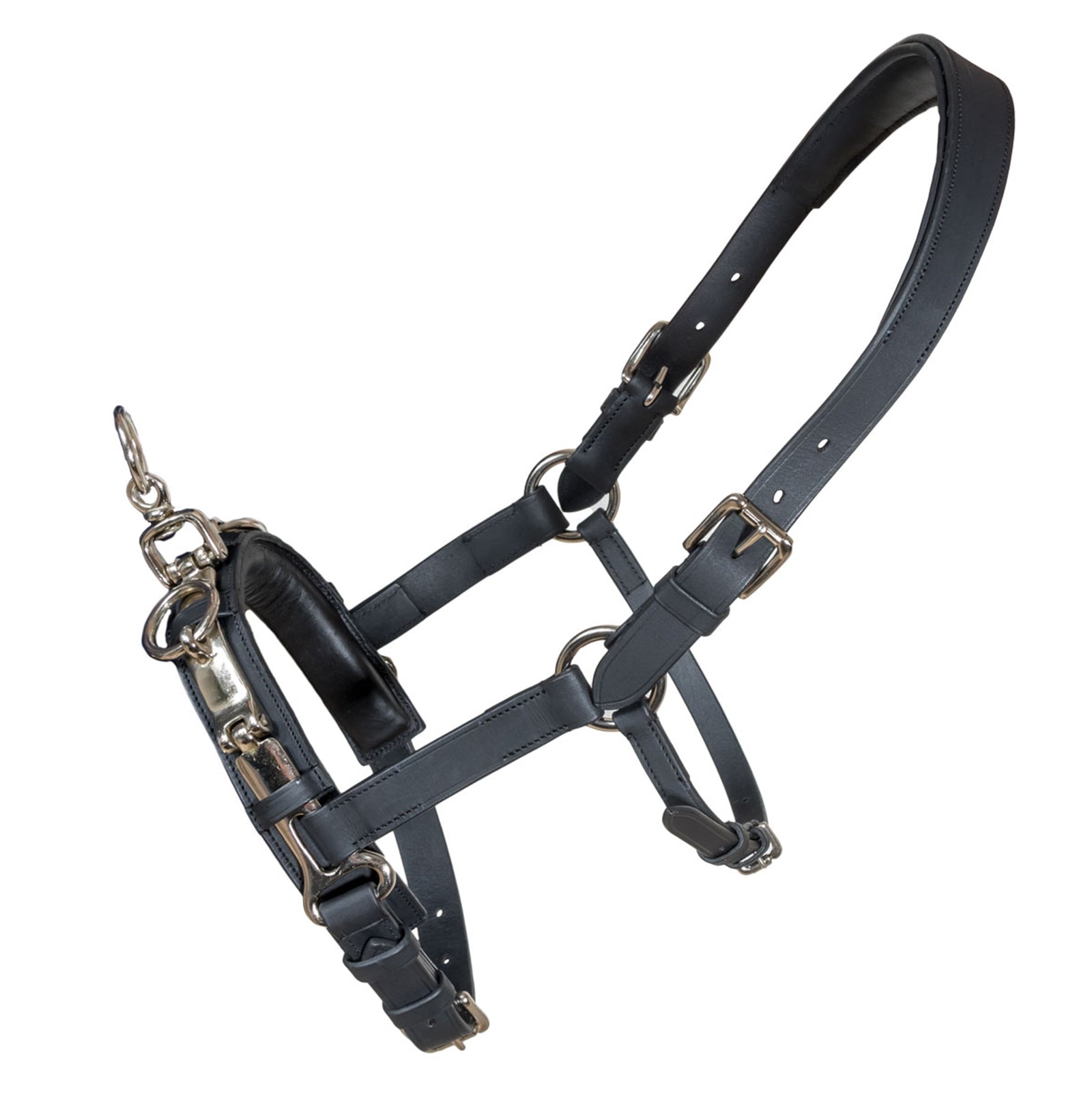 Karlslund Fengur Kapsun Addestramento del cavallo