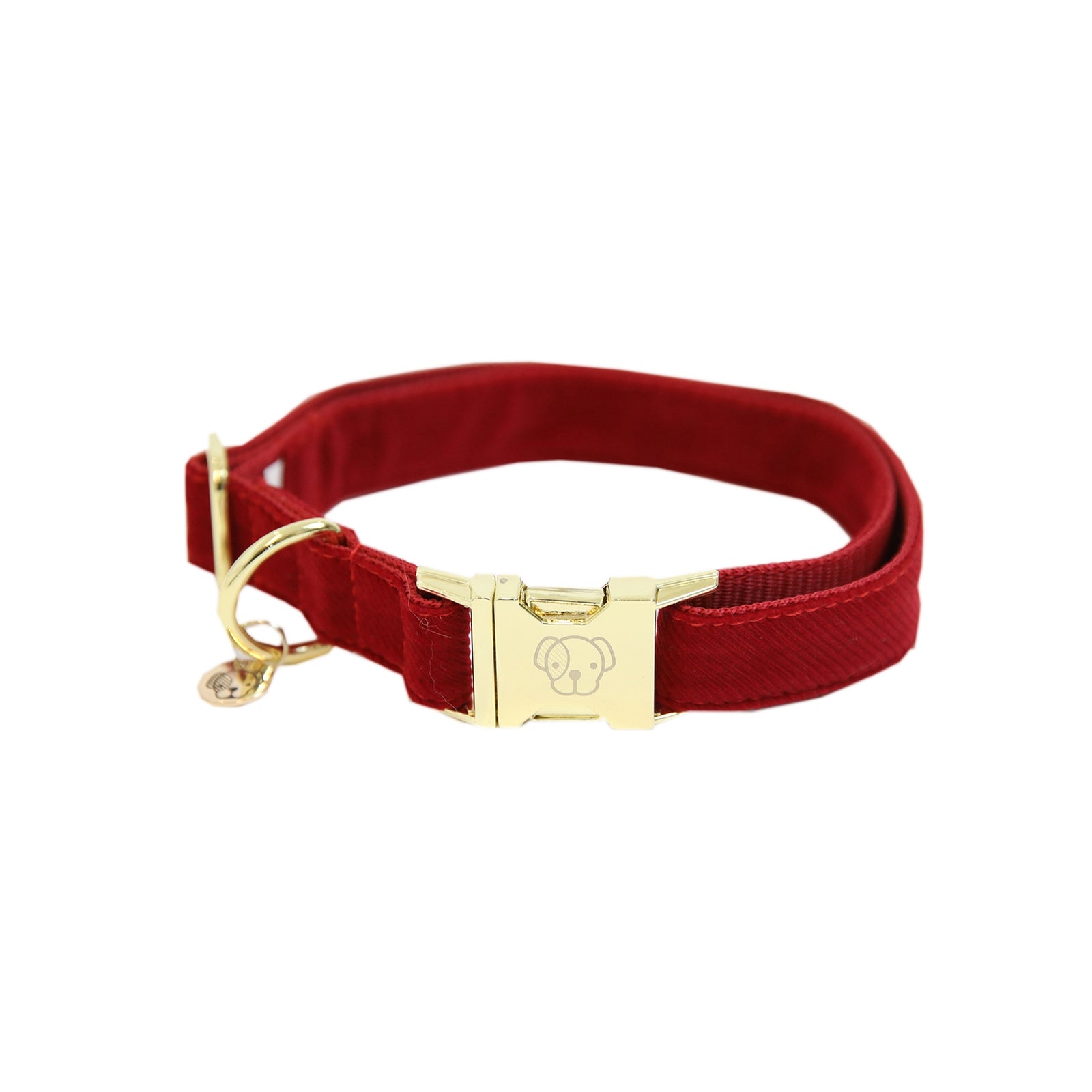 Kentucky Dogwear Collare per cani in velluto a coste Cane