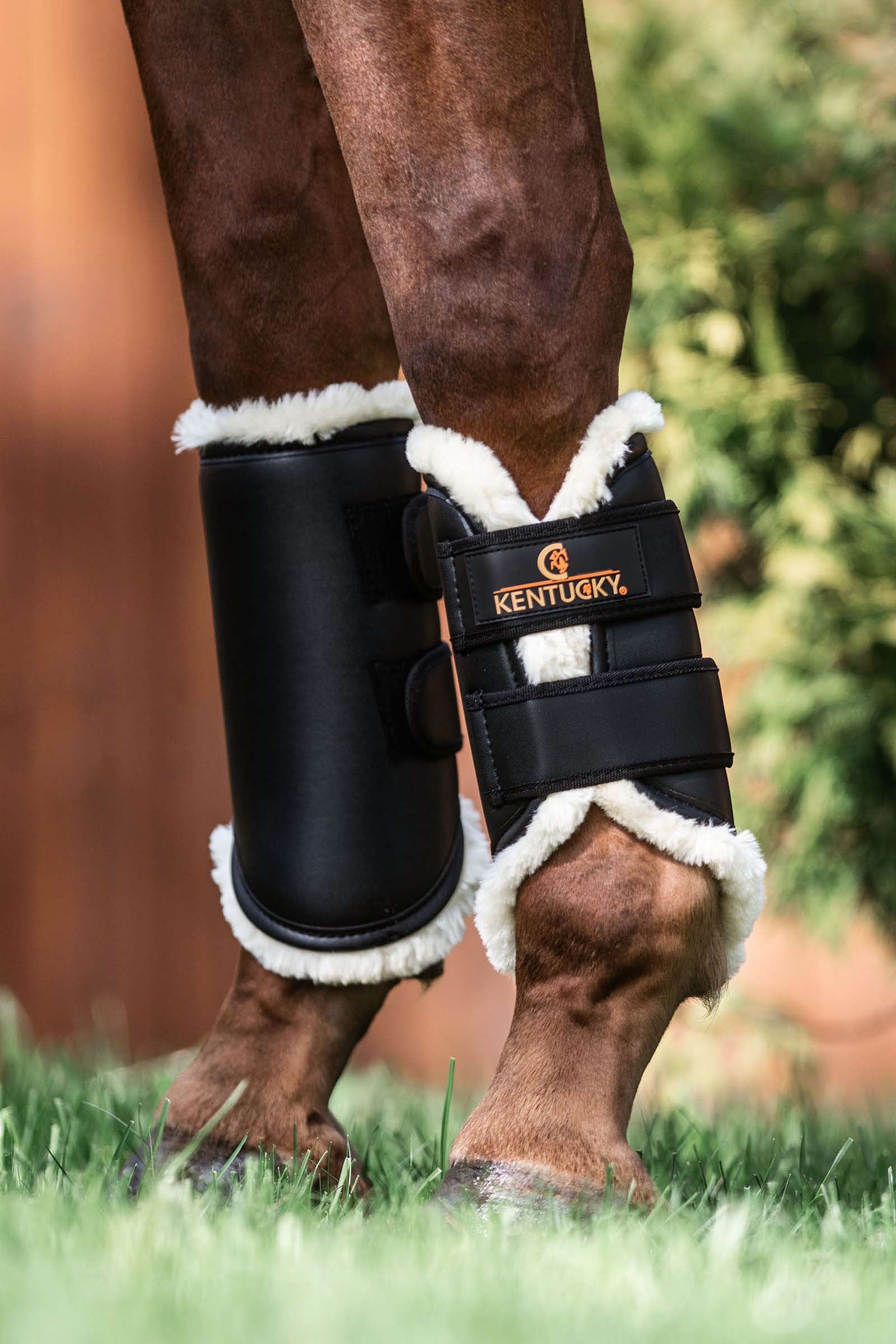 Kentucky Horsewear Kentucky Turnout boots leather, front Leg Protection & Hoof Protection for Horses