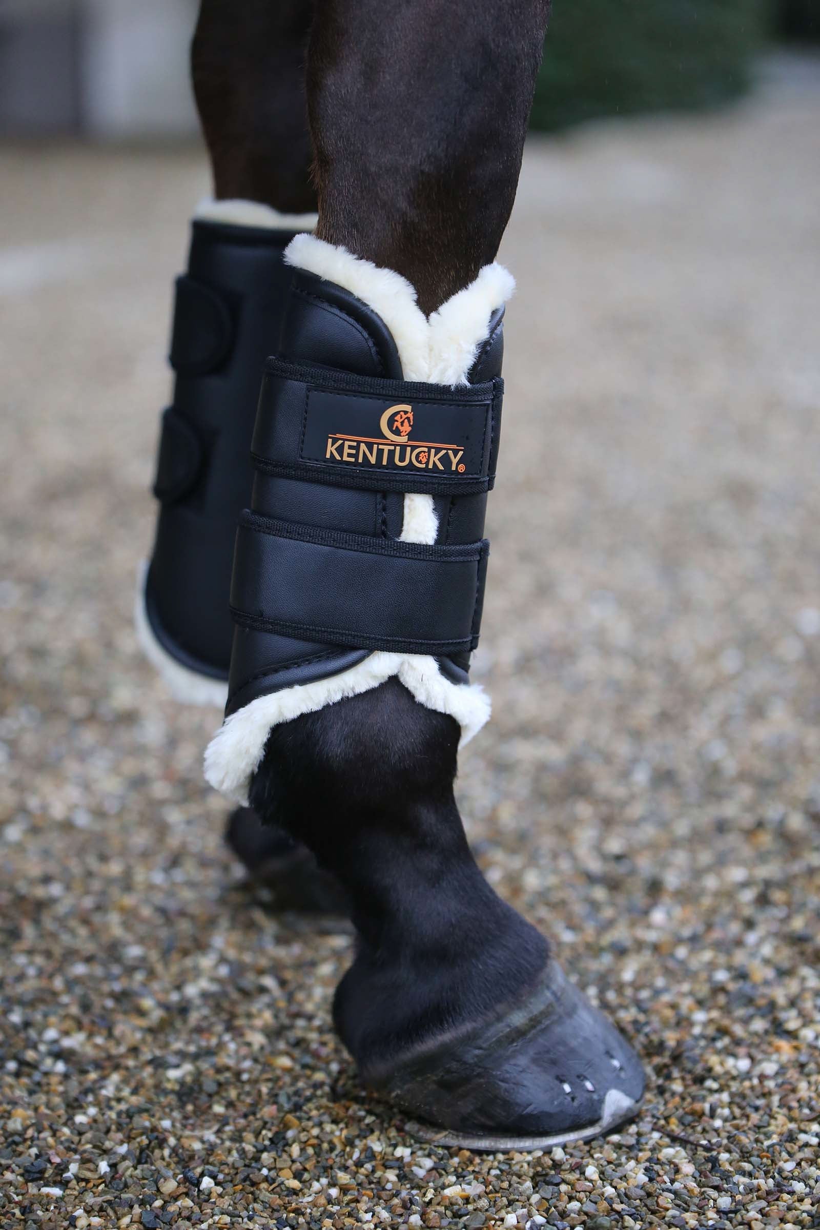 Kentucky Horsewear Kentucky Turnout boots leather, front Leg Protection & Hoof Protection for Horses
