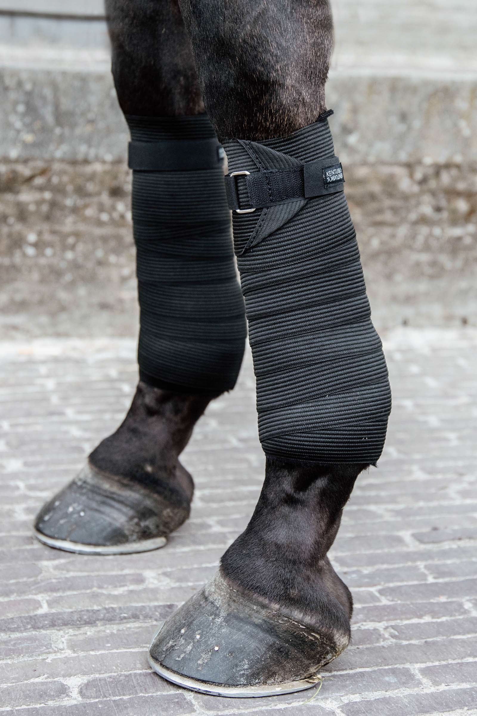 Kentucky Horsewear Pile polare e bendaggio elastico Leg Protection & Hoof Protection for Horses